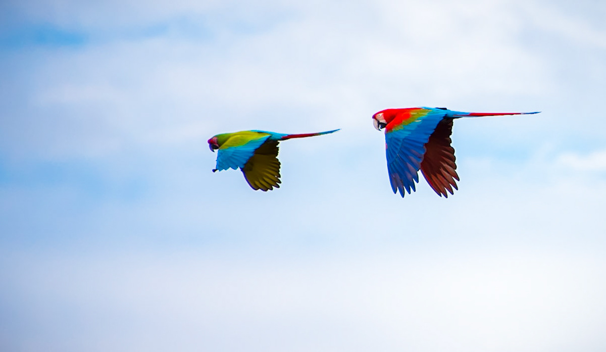 Photo by Rien Janssen (www.rienjanssen.com)