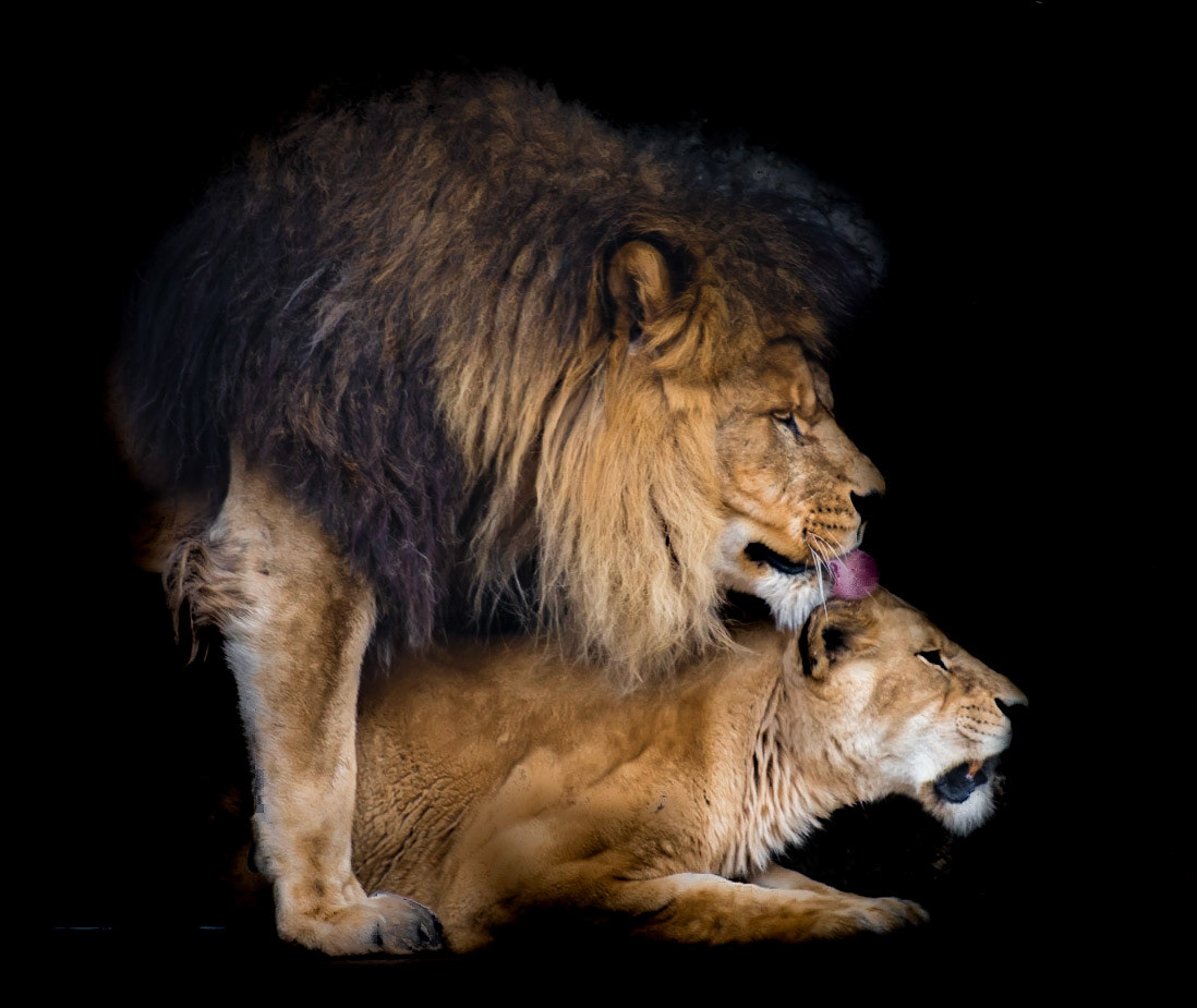 Photo by Rien Janssen (www.rienjanssen.com)