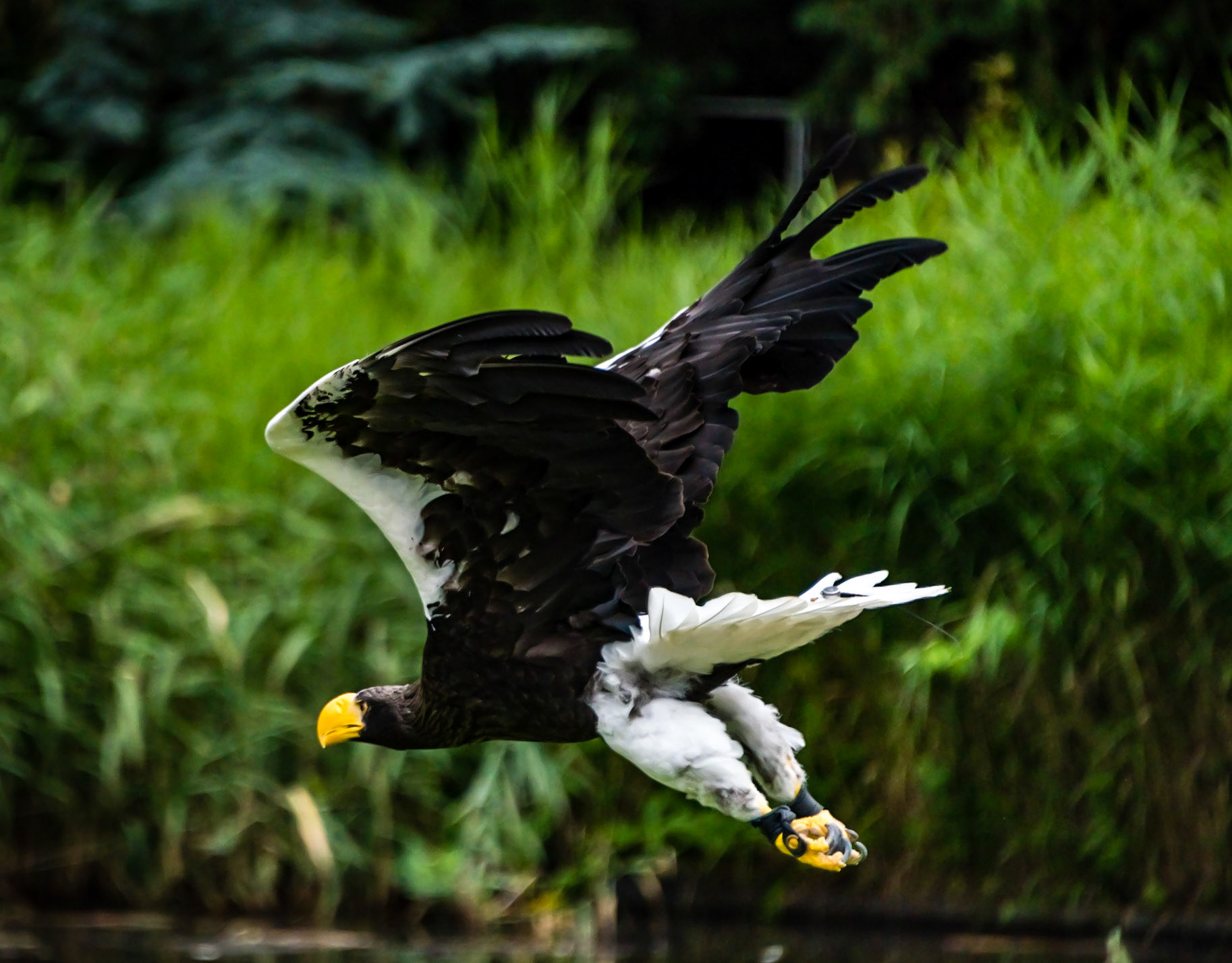 Photo by Rien Janssen (www.rienjanssen.com)