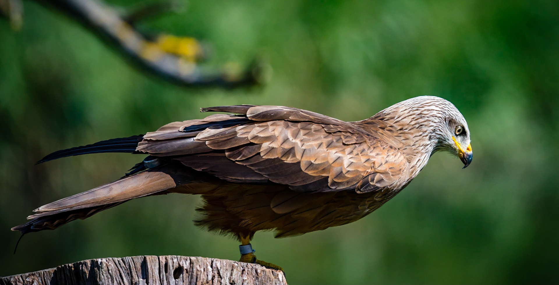 Photo by Rien Janssen (www.rienjanssen.com)