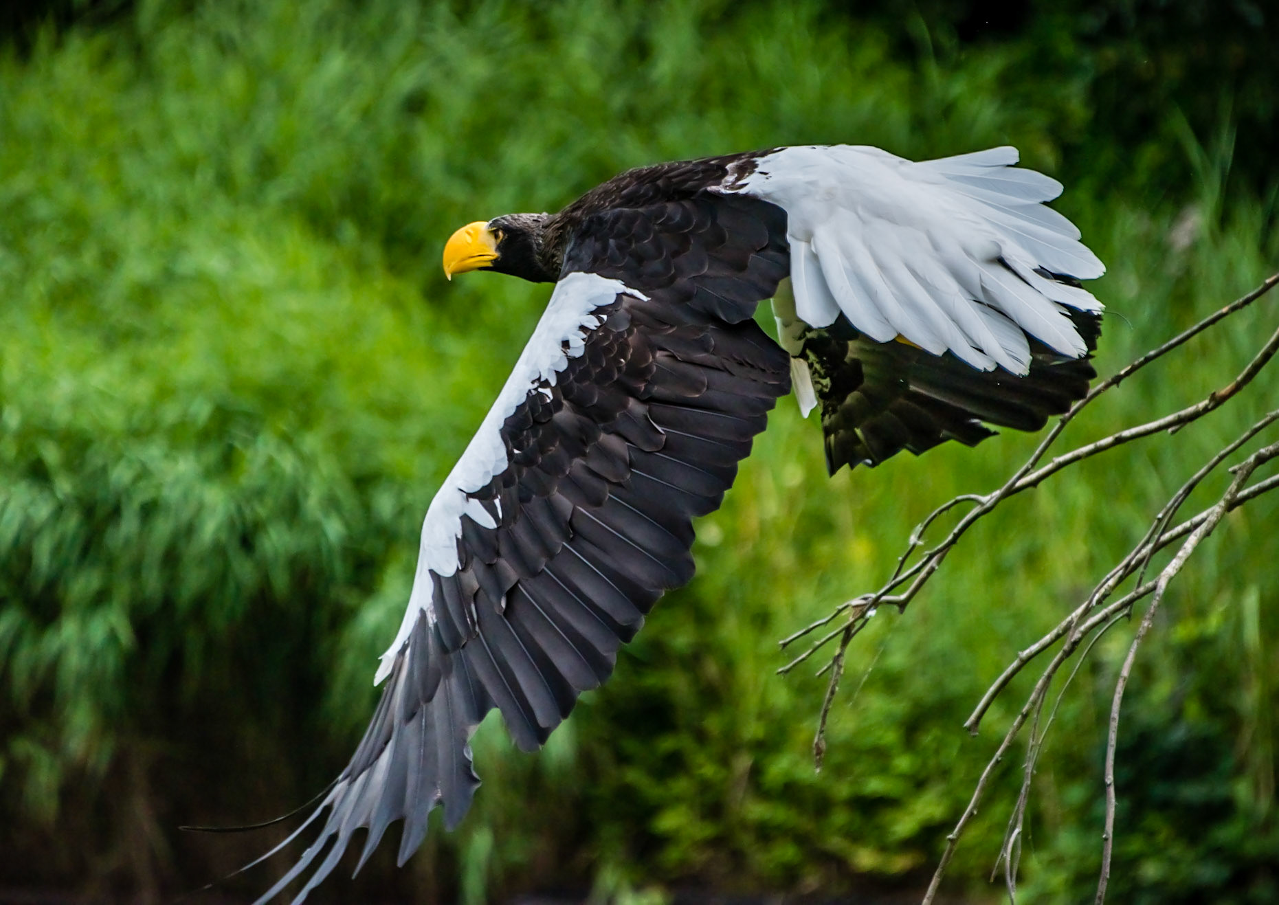 Photo by Rien Janssen (www.rienjanssen.com)