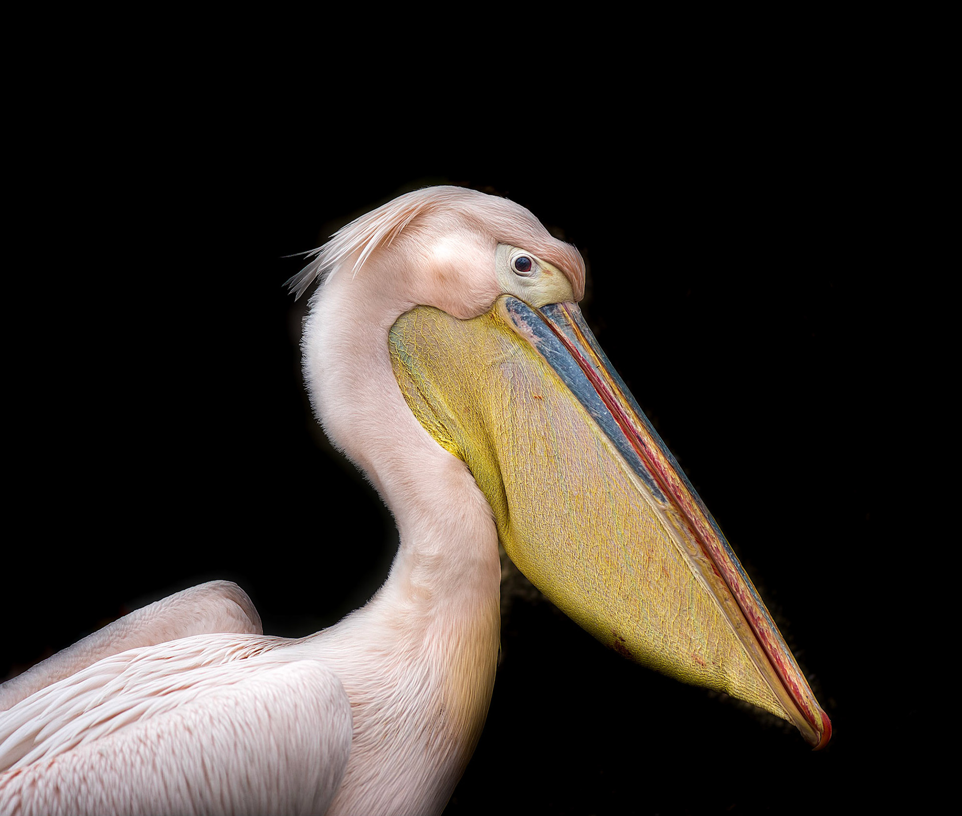Photo by Rien Janssen (www.rienjanssen.com)