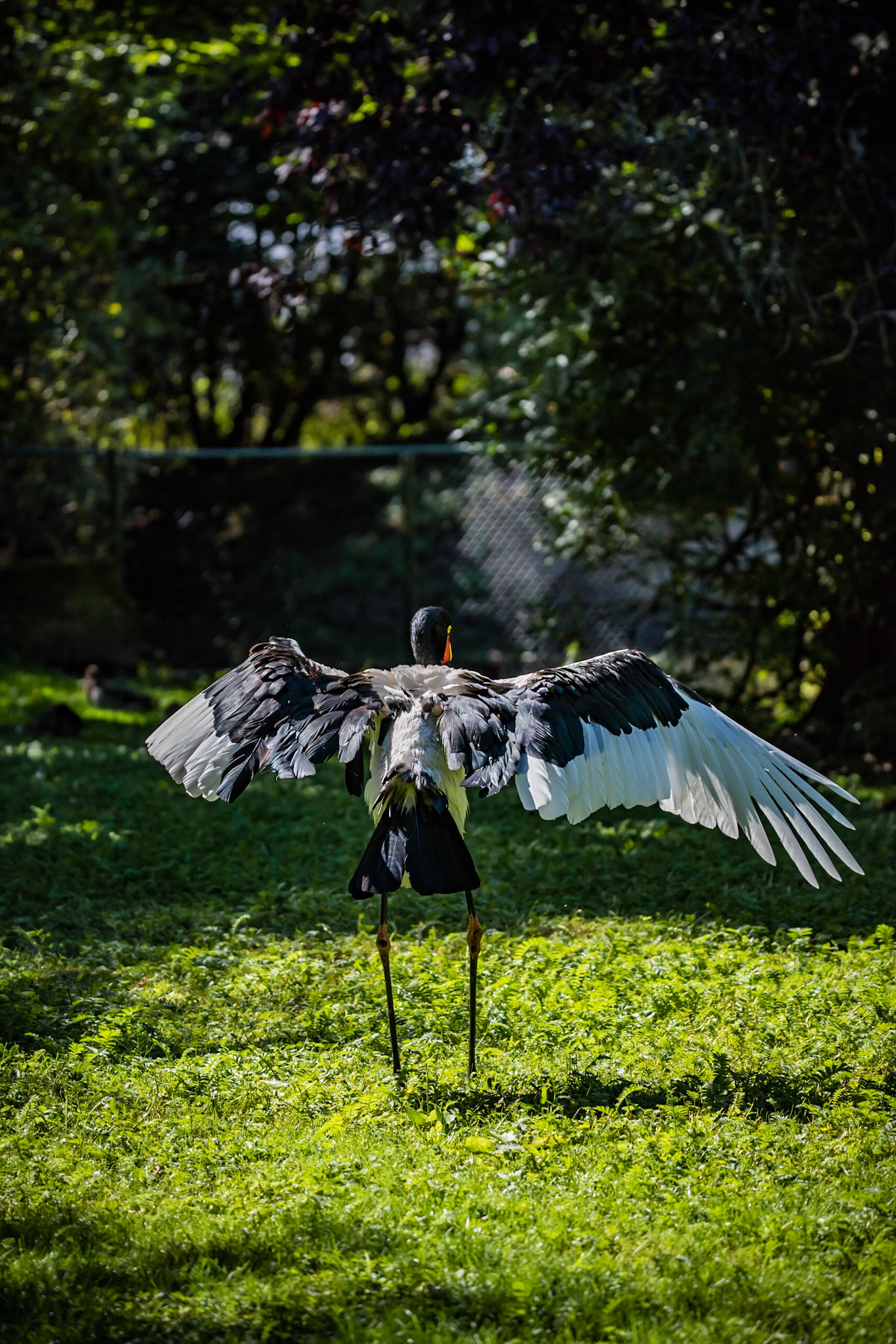 Photo by Rien Janssen (www.rienjanssen.com)