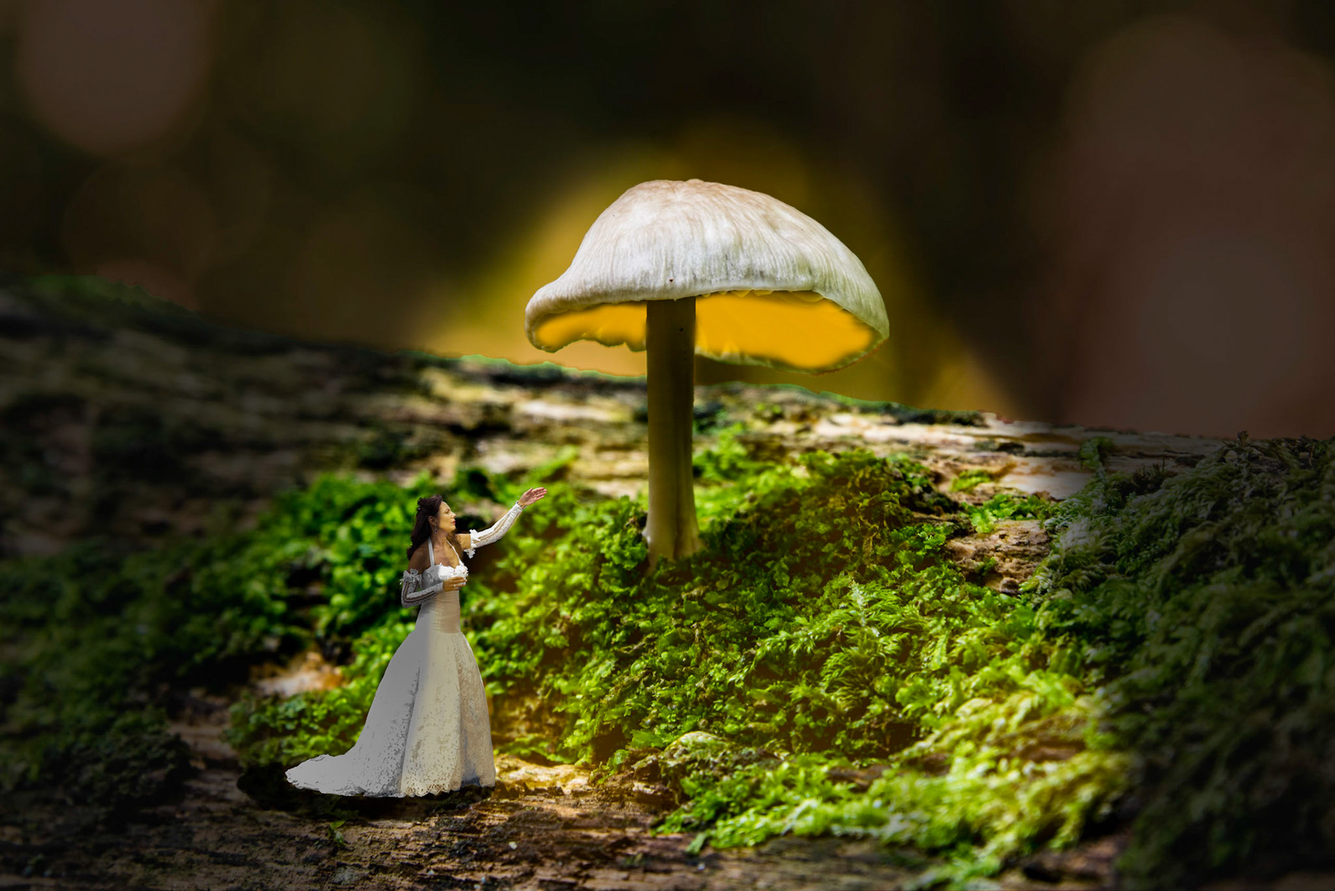 Photo by Rien Janssen (www.rienjanssen.com)