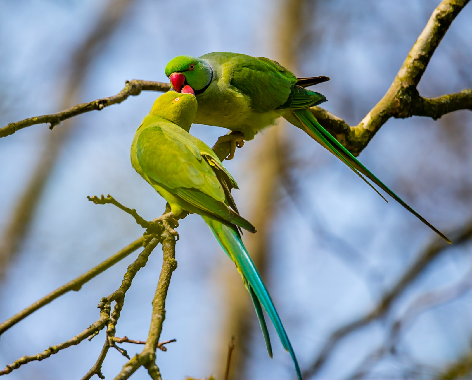 Photo by Rien Janssen (www.rienjanssen.com)