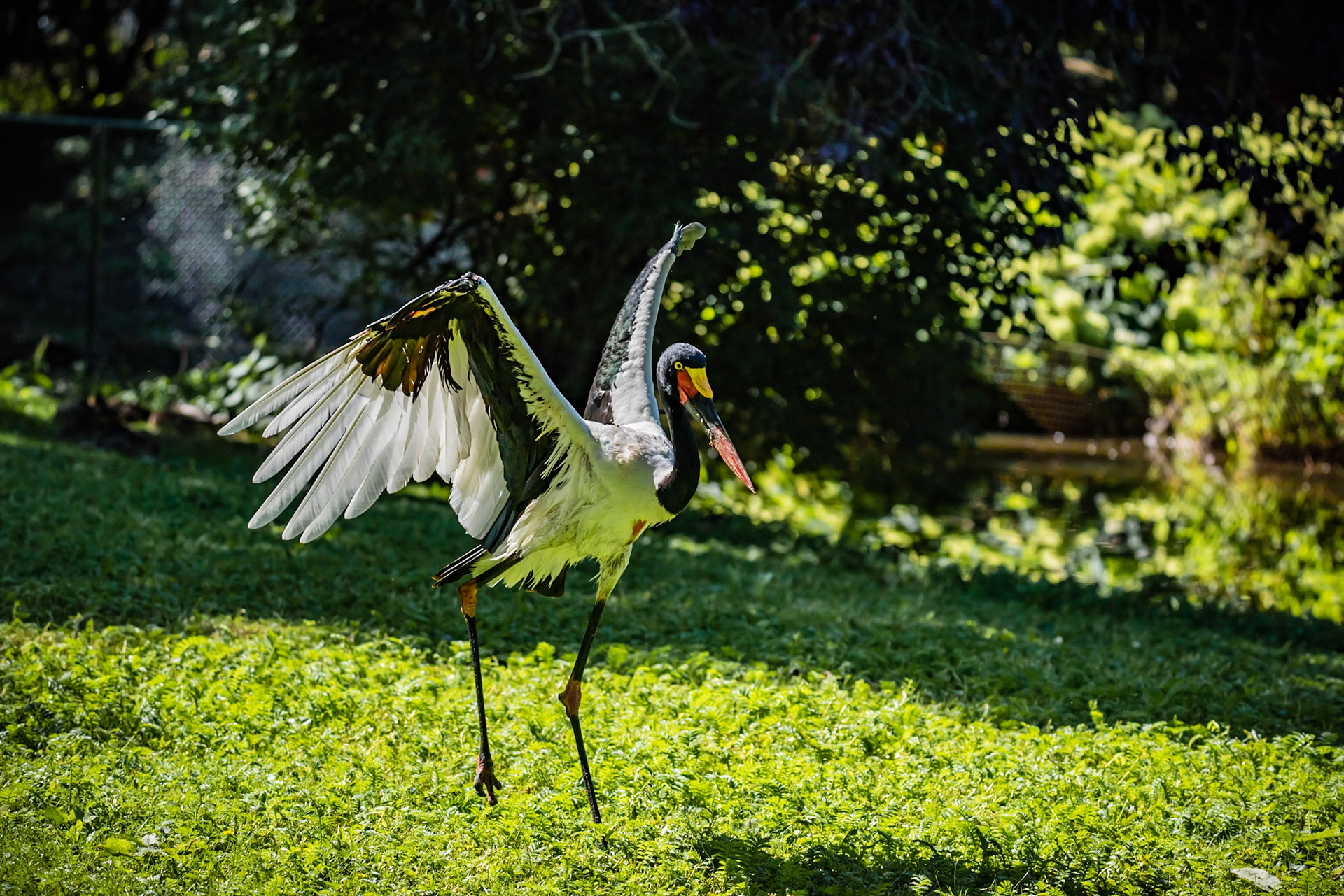 Photo by Rien Janssen (www.rienjanssen.com)