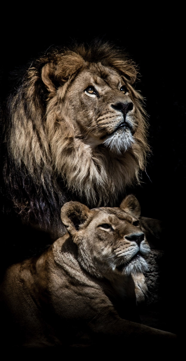Photo by Rien Janssen (www.rienjanssen.com)