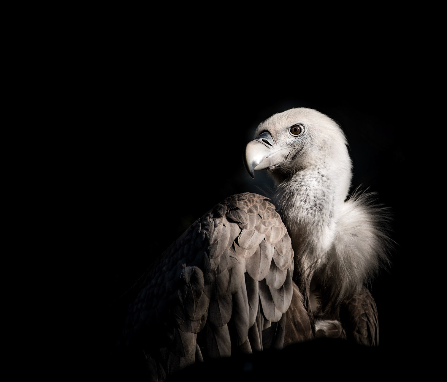 Photo by Rien Janssen (www.rienjanssen.com)