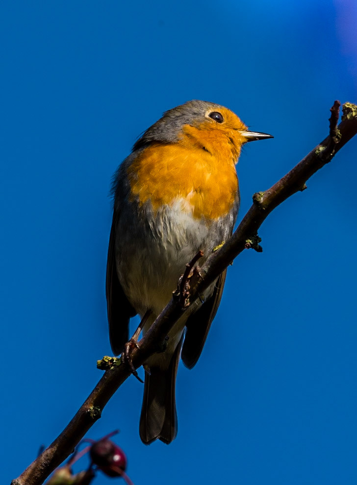 Photo by Rien Janssen (www.rienjanssen.com)