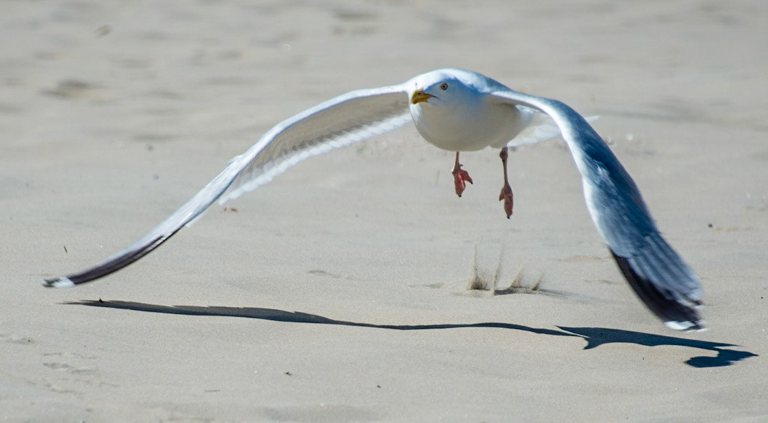Photo by Rien Janssen (www.rienjanssen.com)