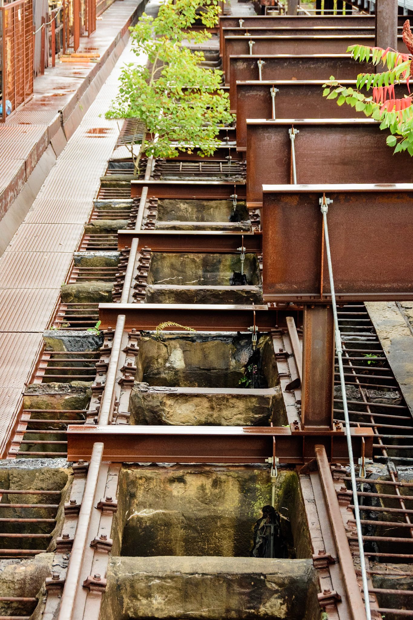 Tracks Reclaimed