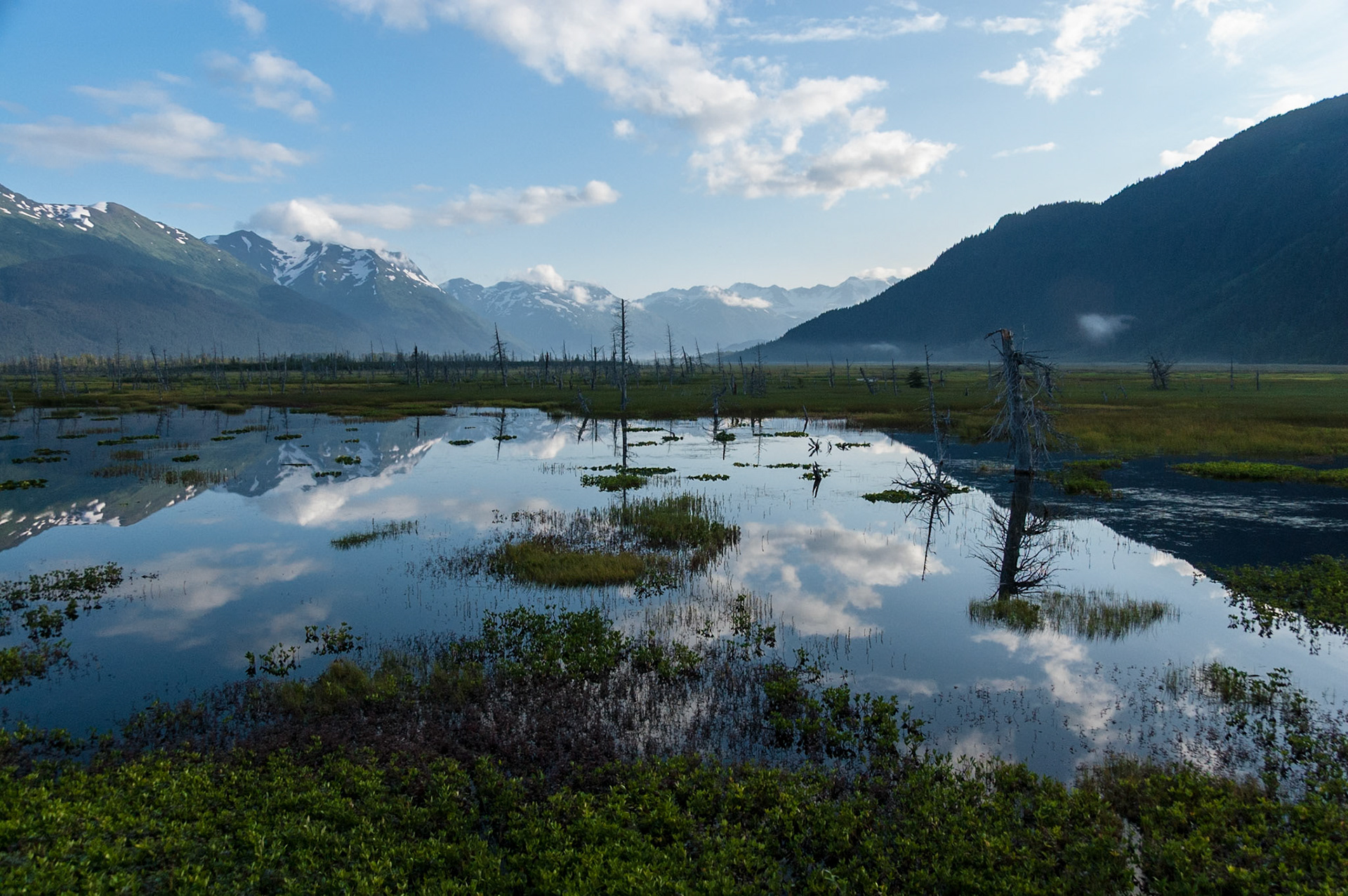 Views from the train to Denali