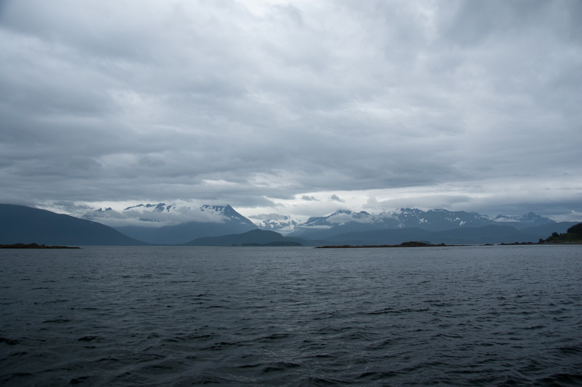 Tom's Land and Sea Safari-photography workshop