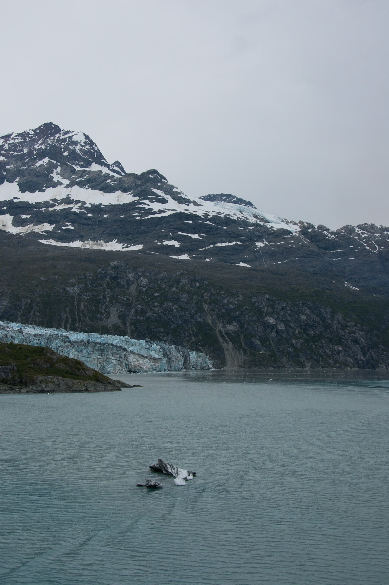 Glacier Bay Glaciers