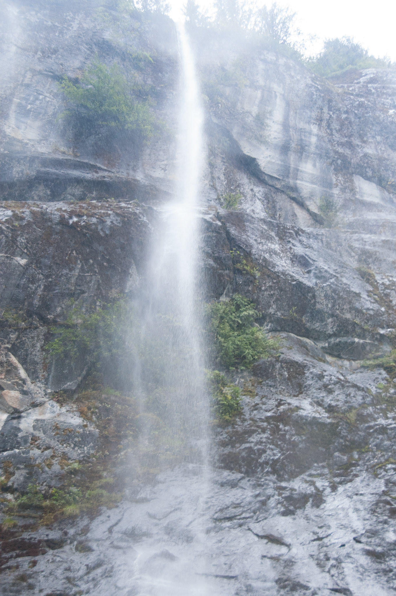 water from snow melt-misty fjords tour