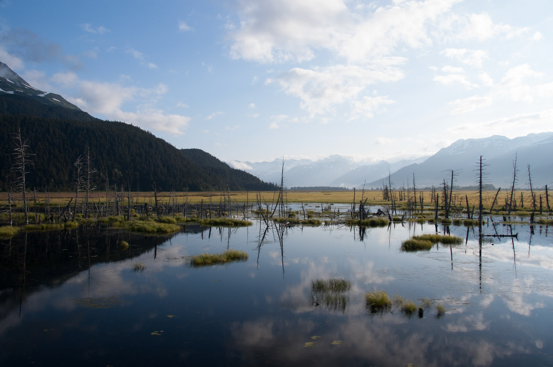 Views from our train