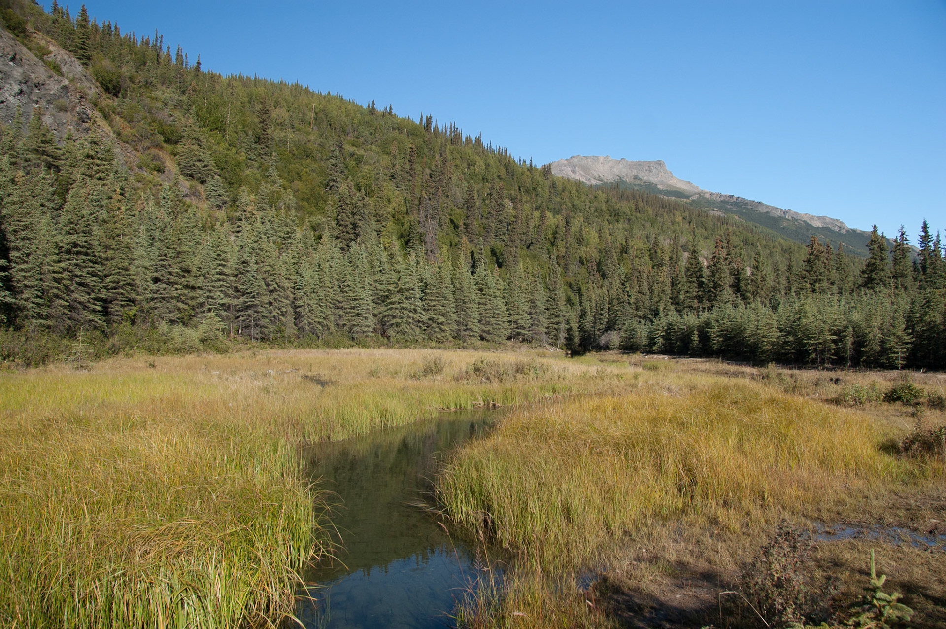 McKinley Lodge area views