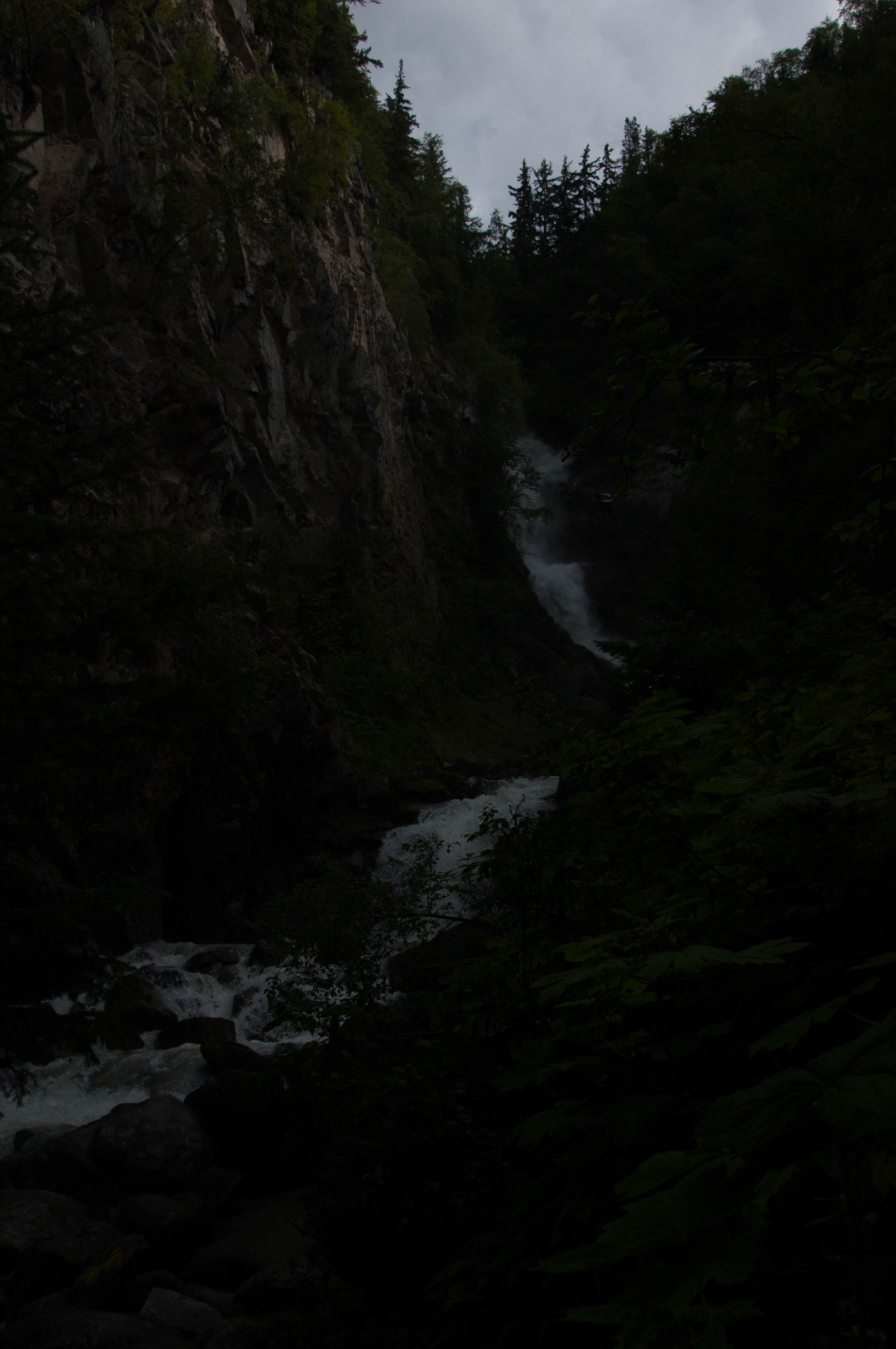 White Horse Pass Tour Views