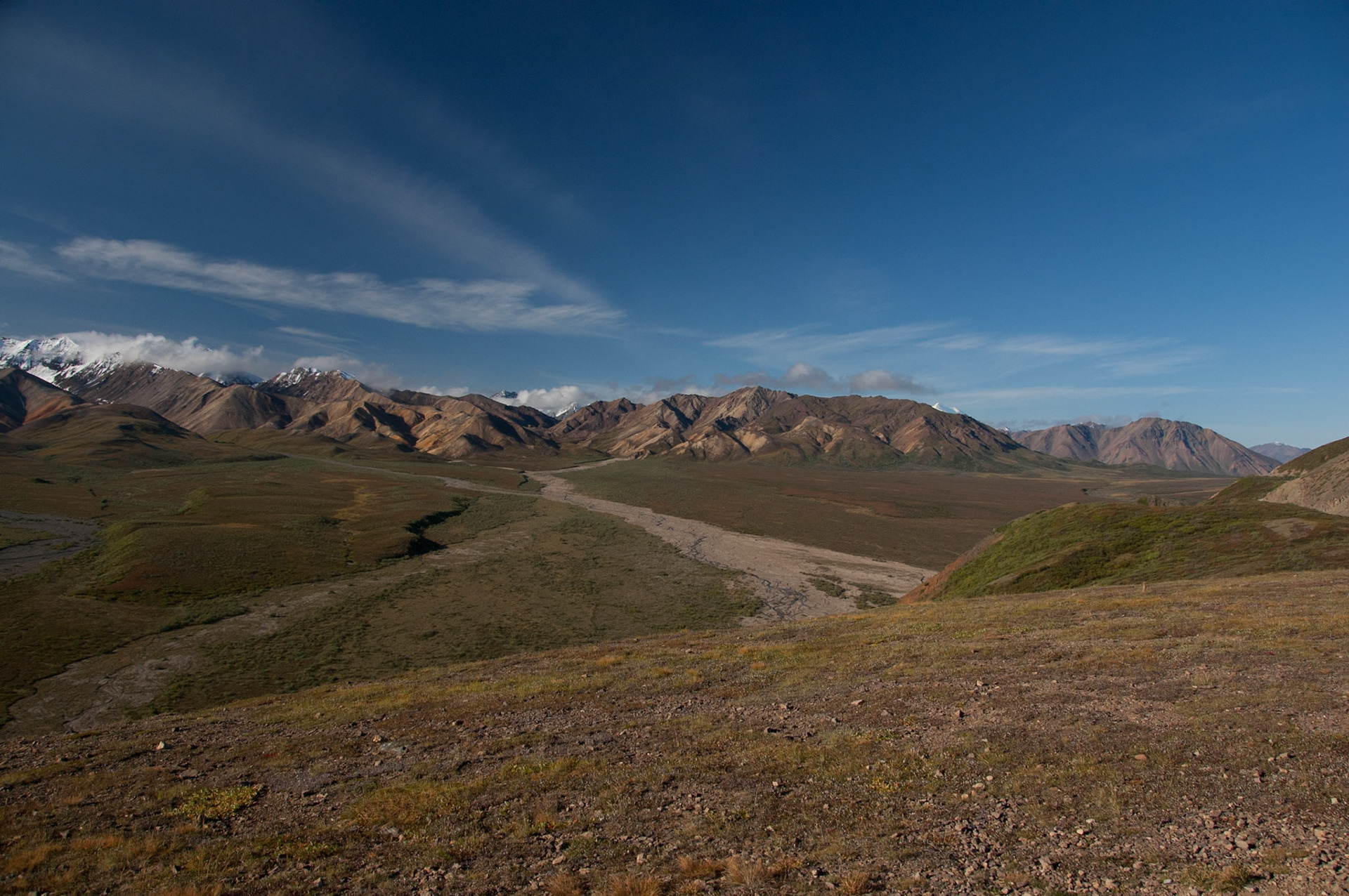 Views of Denali Park