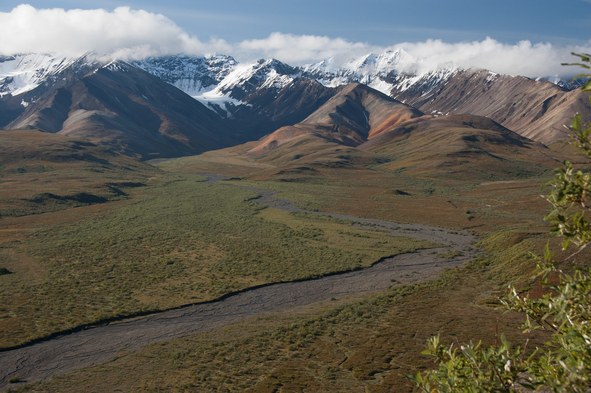 Views of Denali Park