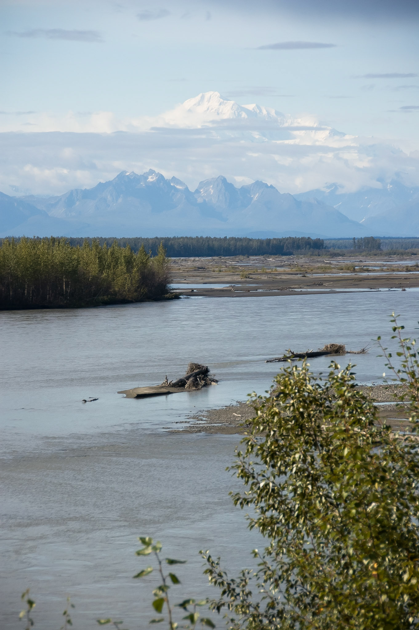 Views of Mt McKinley from the train on our way to Anchorage