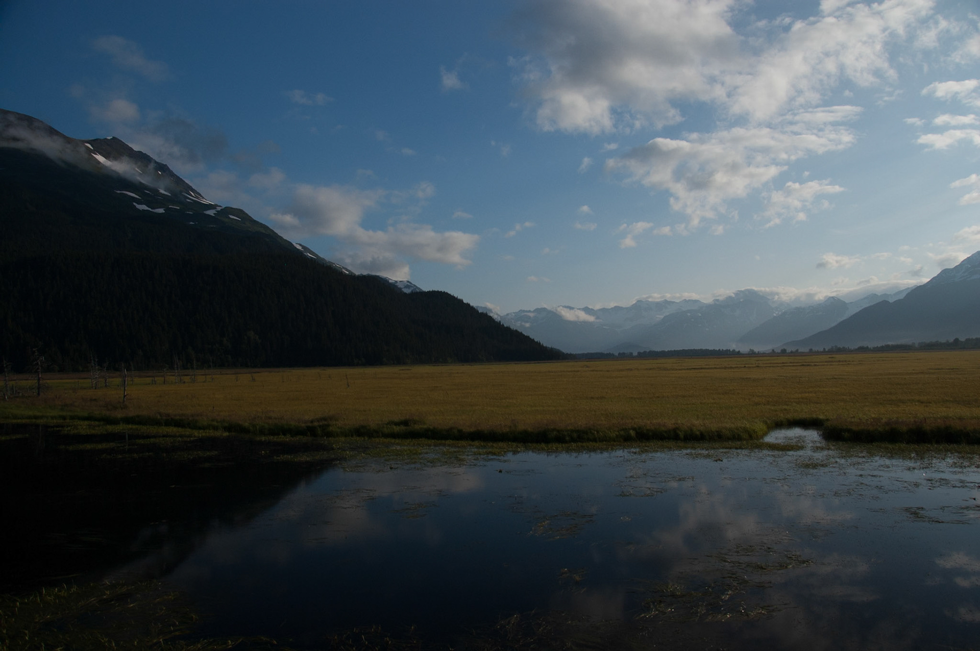 Views from our train