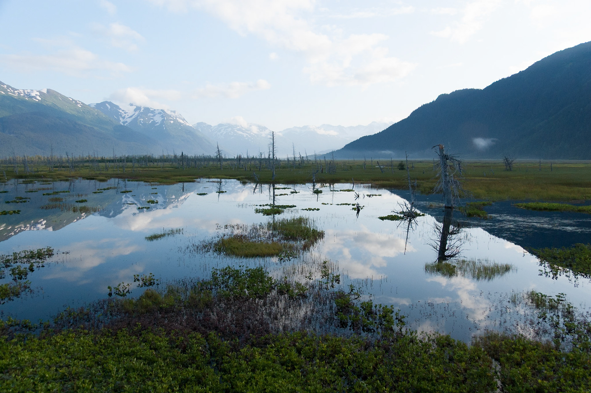 Views from the train to Denali