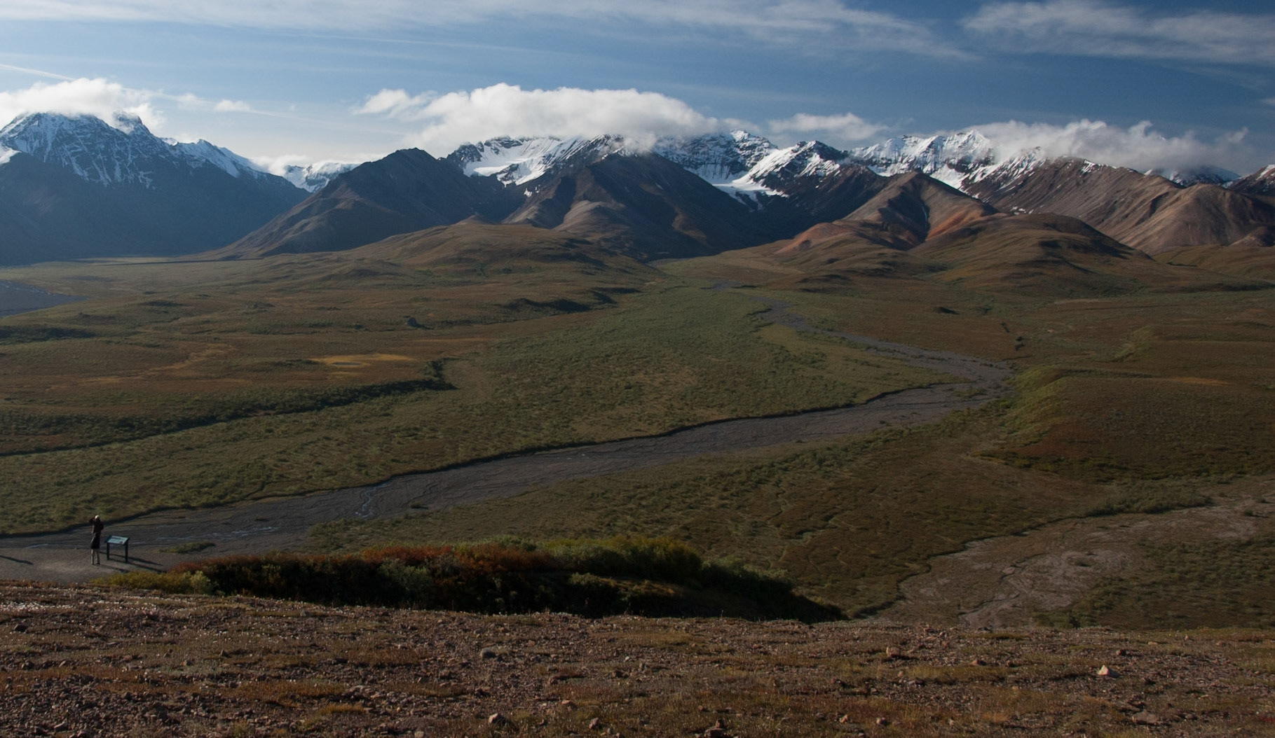 Views of Denali Park