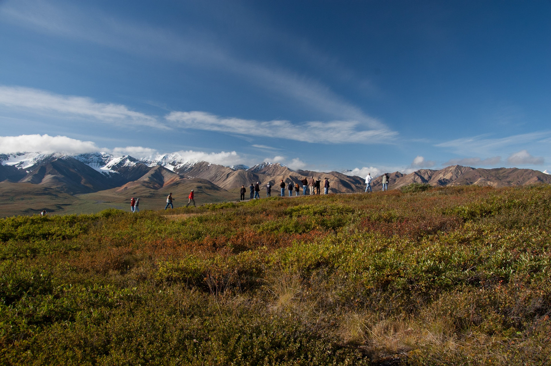 Views of Denali Park
