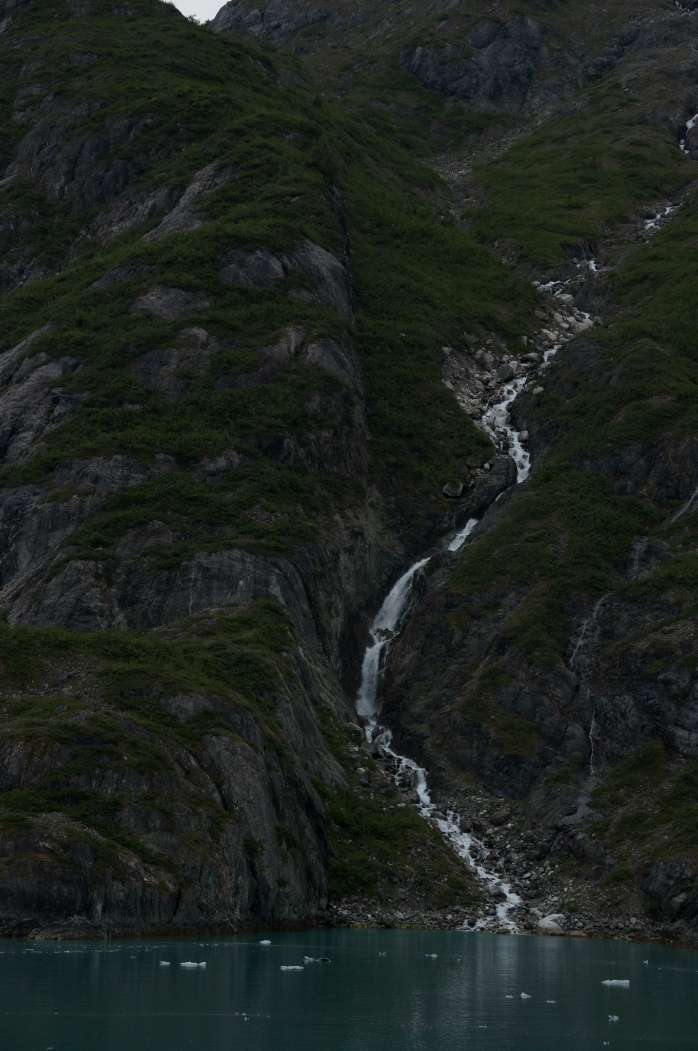 Glacier Bay Glaciers