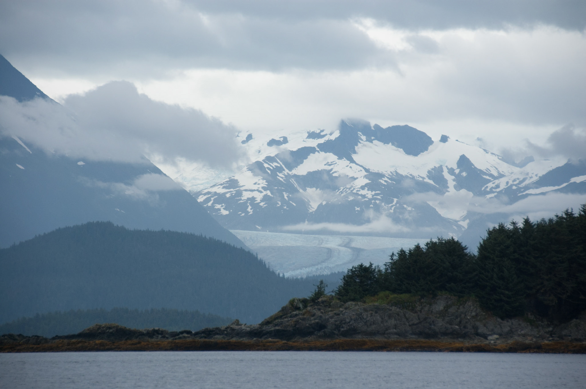 Tom's Land and Sea Safari-photography workshop