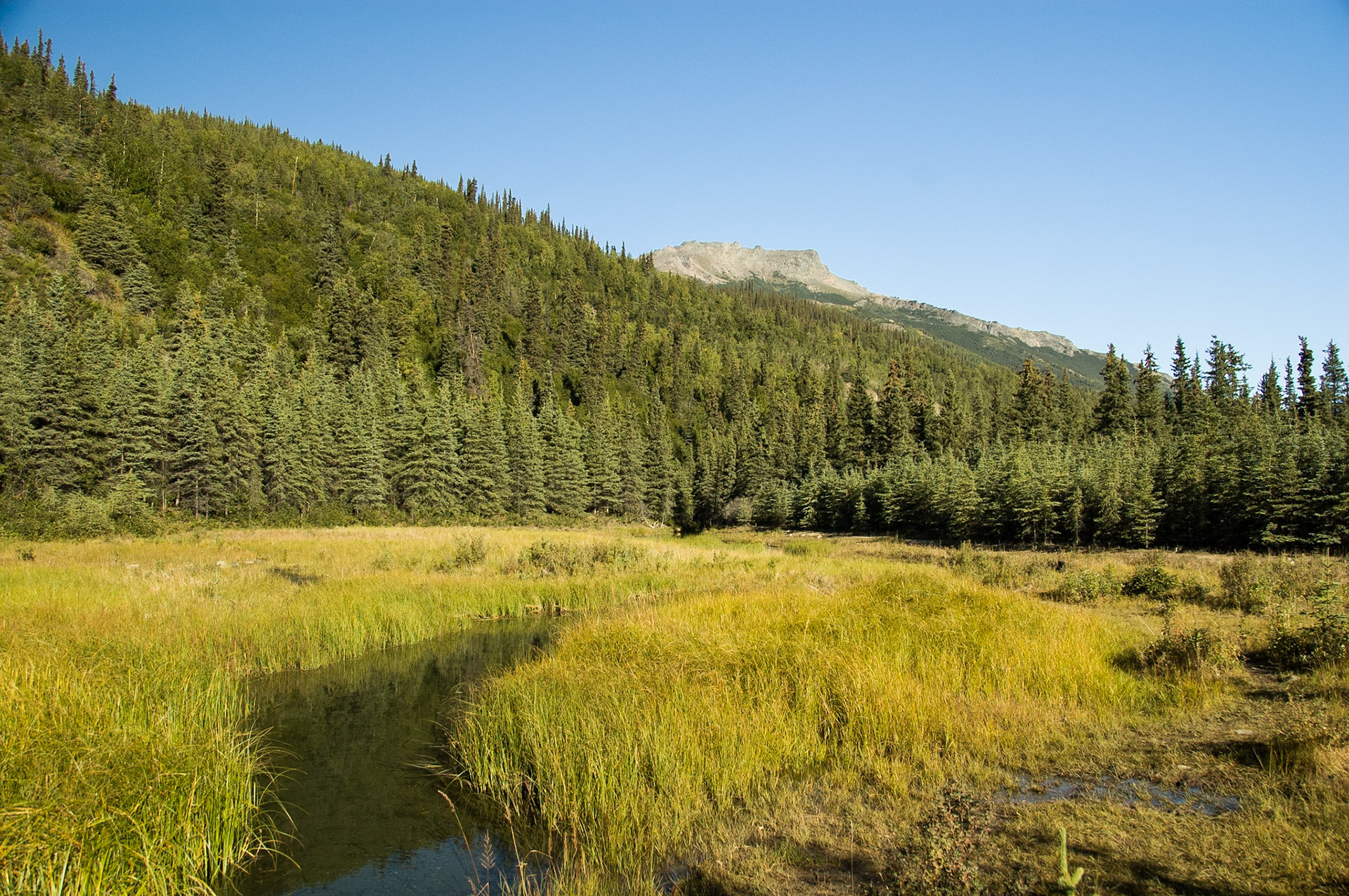 McKinley Lodge area views