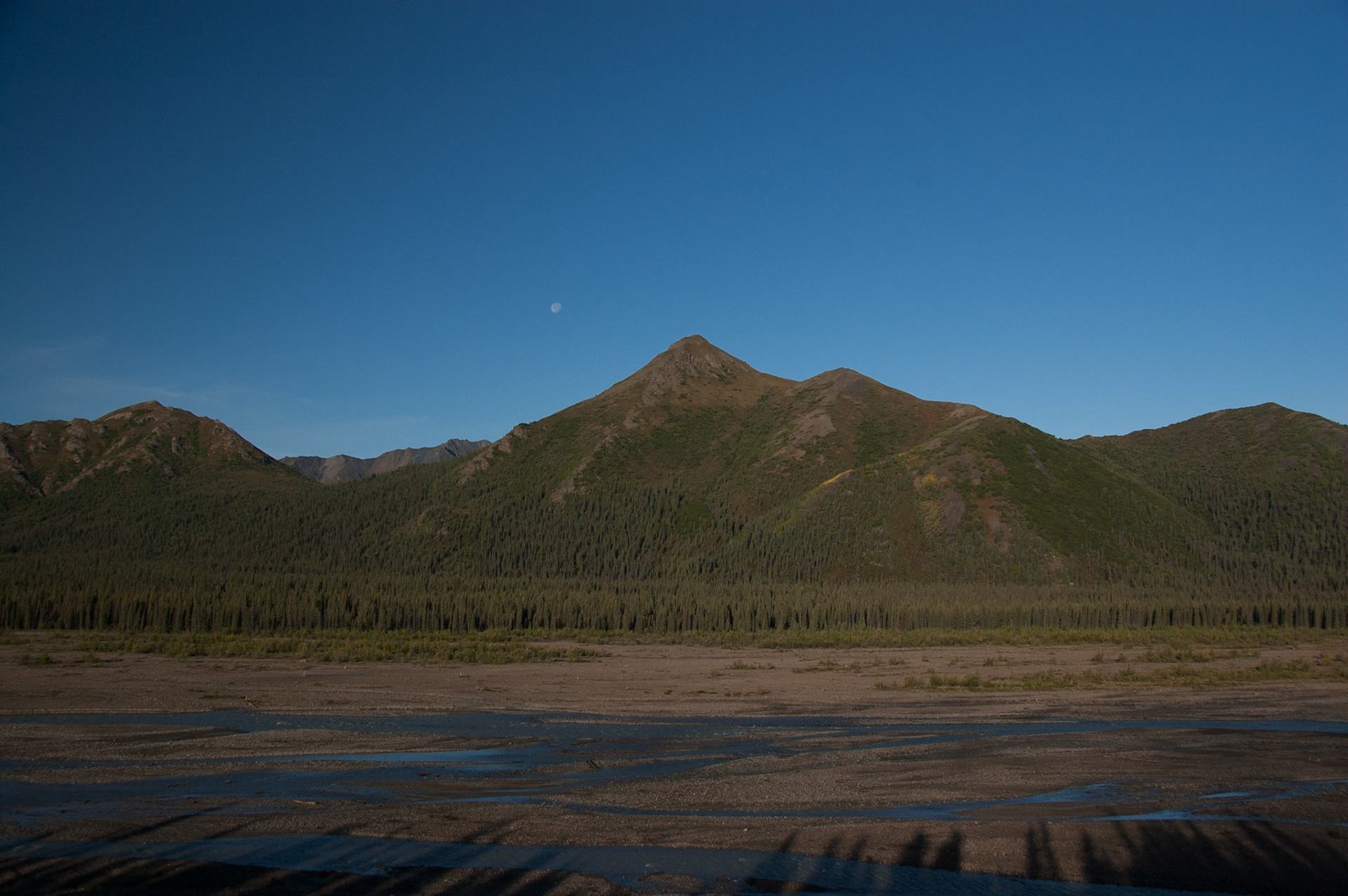 Views of Denali Park