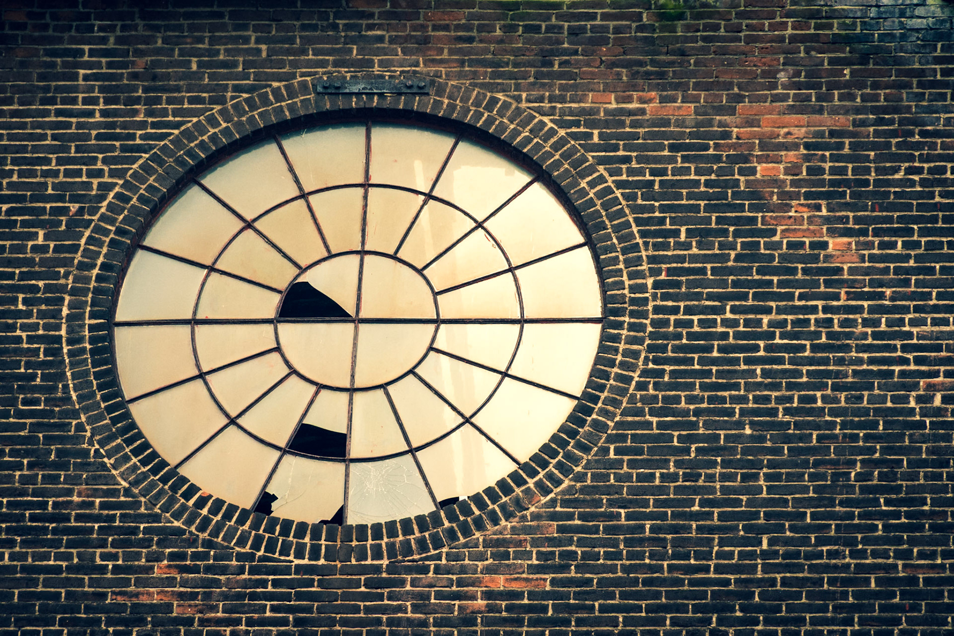 The Window