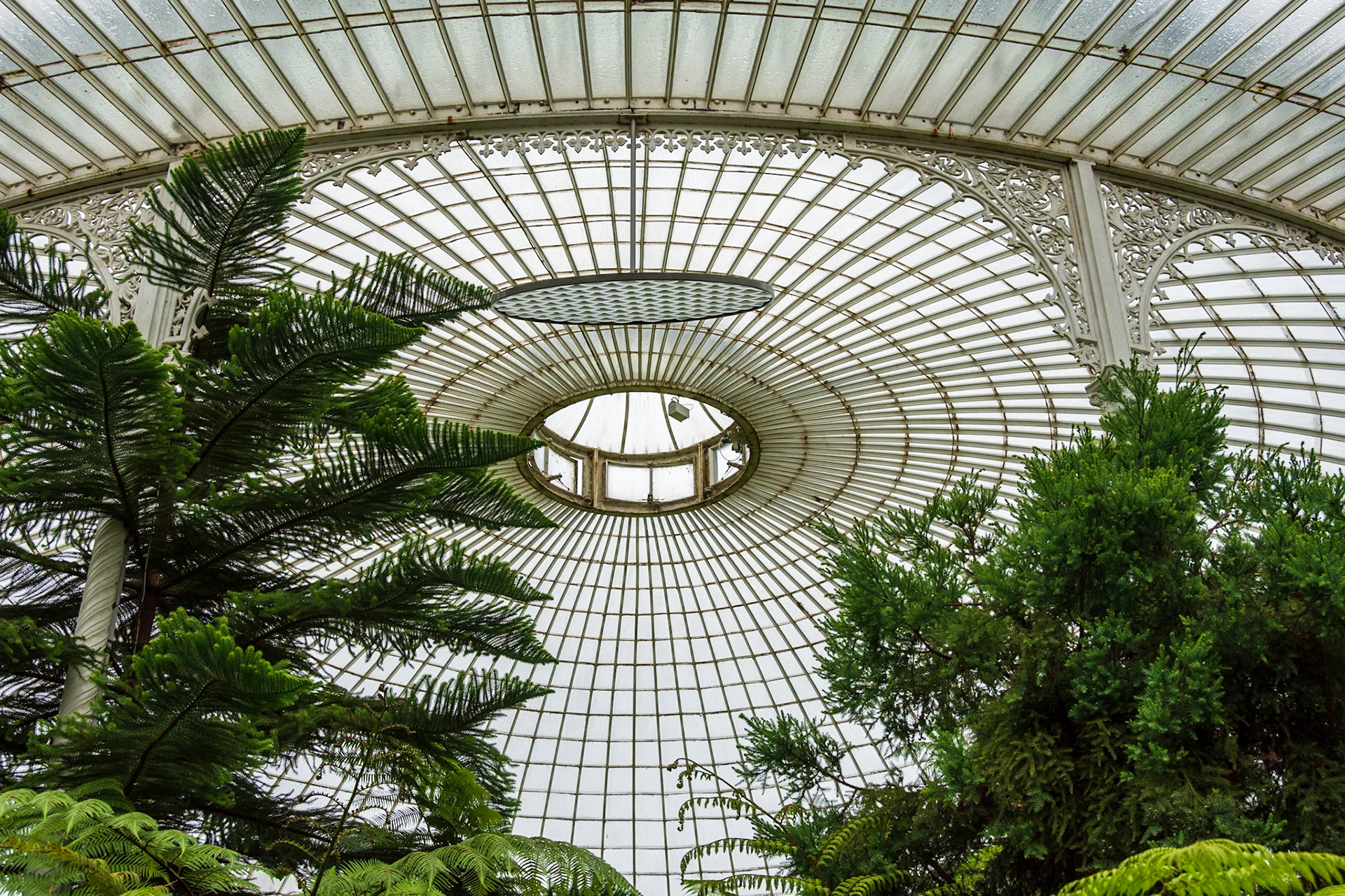 Glasgow Botanical Gardens