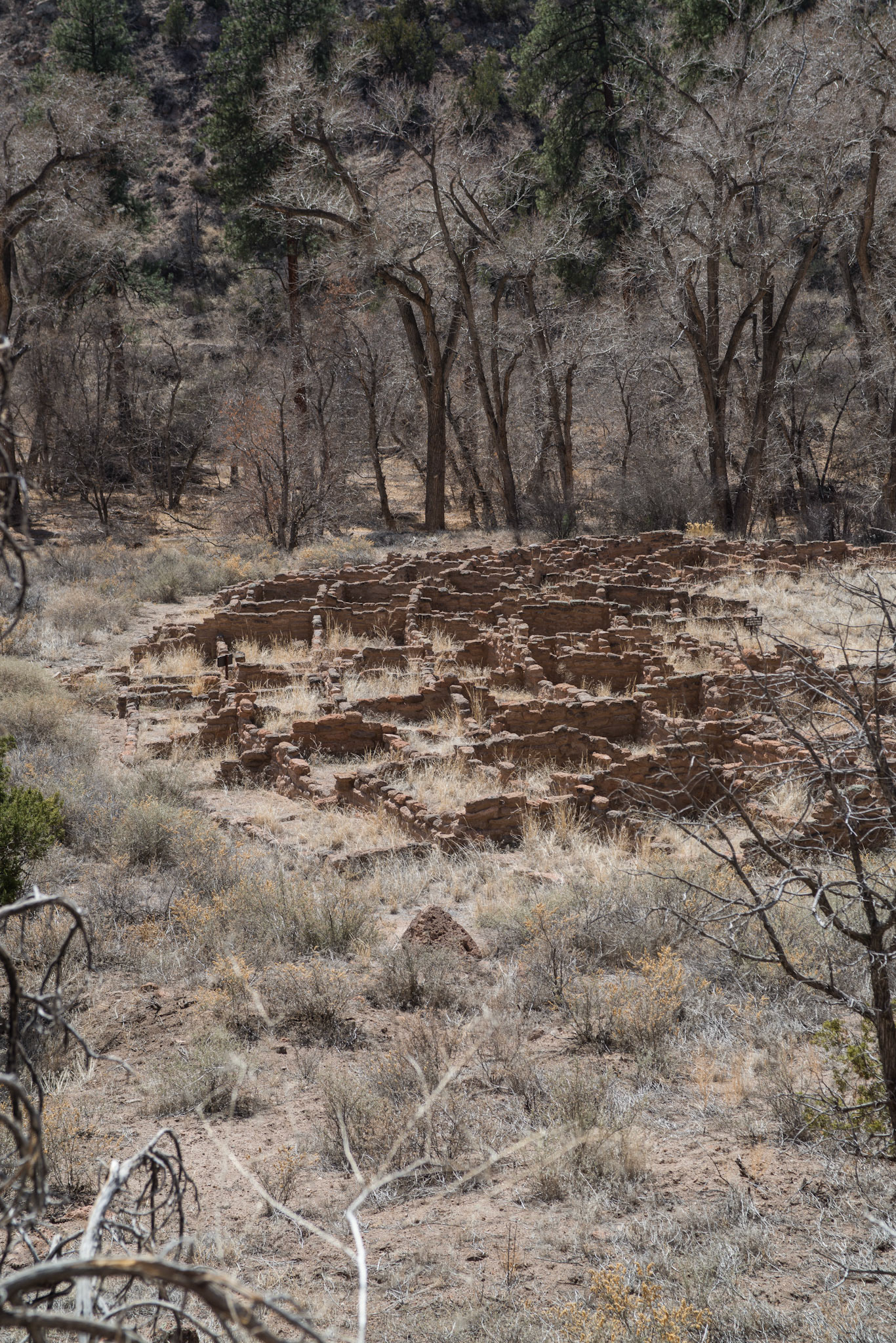 Bandelier National Monument, Tyuonyi, ca. 1150–1600 CE, Los Alamos, NM. Photo: 2013. © The Trustees of Columbia University