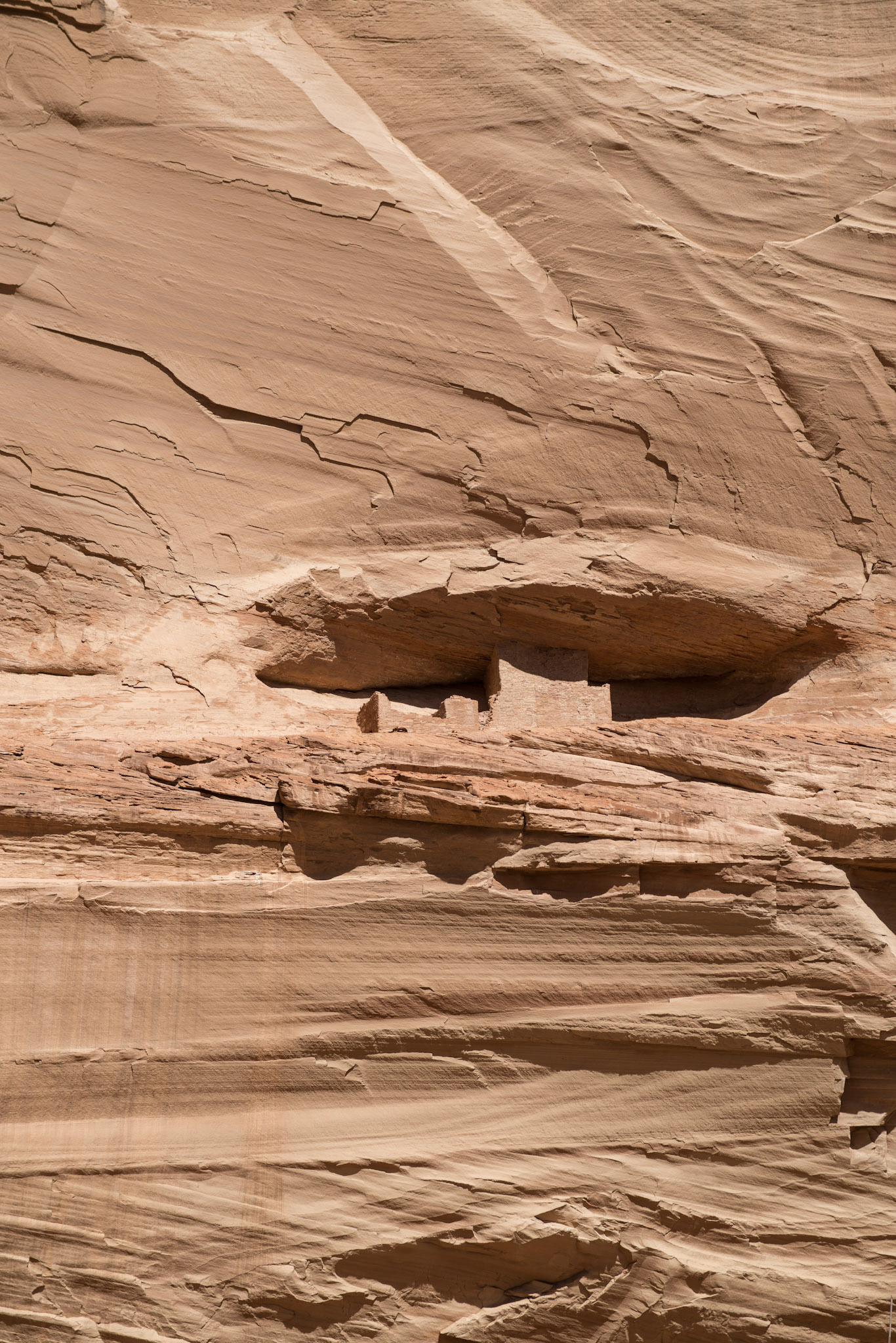 Canyon de Chelly National Monument, Ledge Ruin, Canyon del Muerto, Chinle, AZ. Photo: 2013. © The Trustees of Columbia University