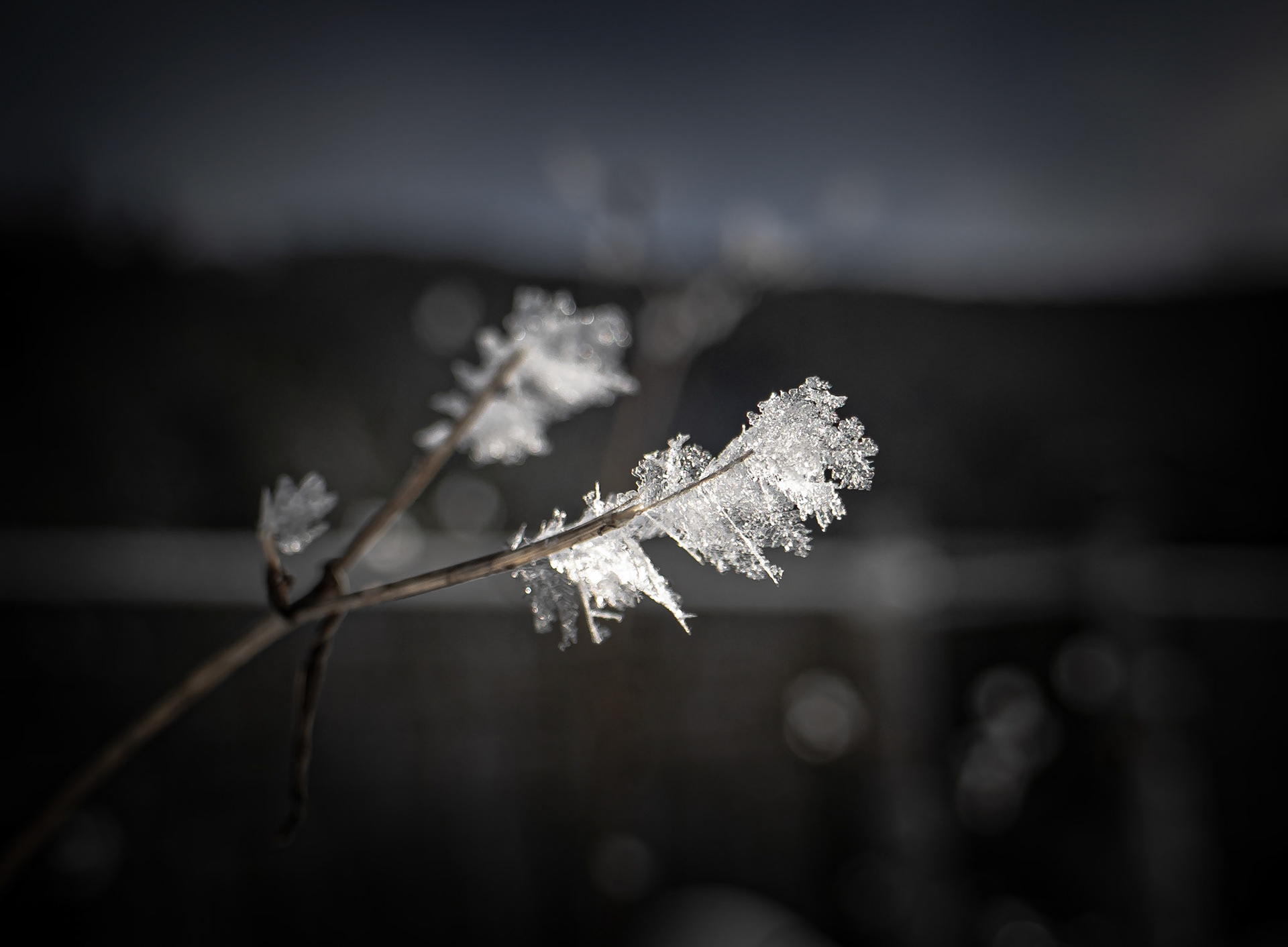 Gillett Pond, Vermont 2025