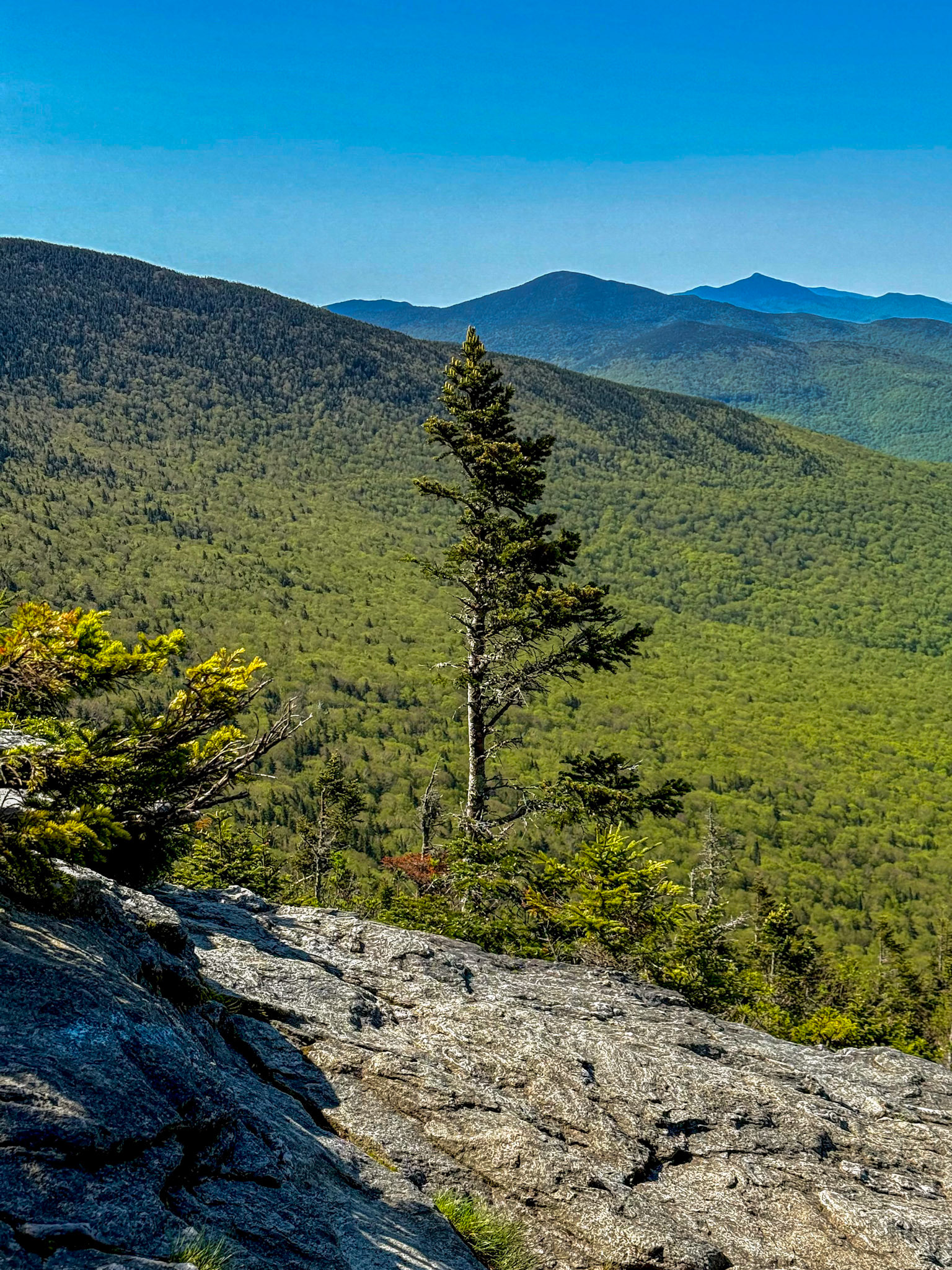 Green Mountain ridge, Vermont 2025