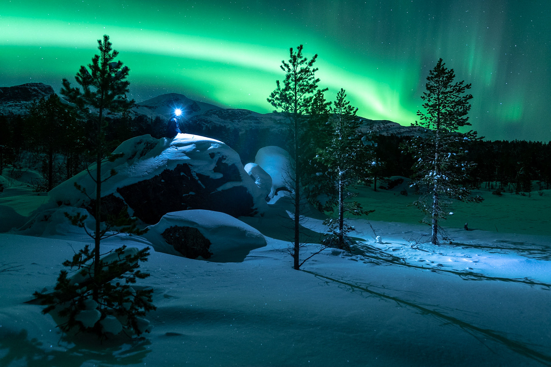 Aurora in Lapland, Stora Sjöfallet National Park, Sweden