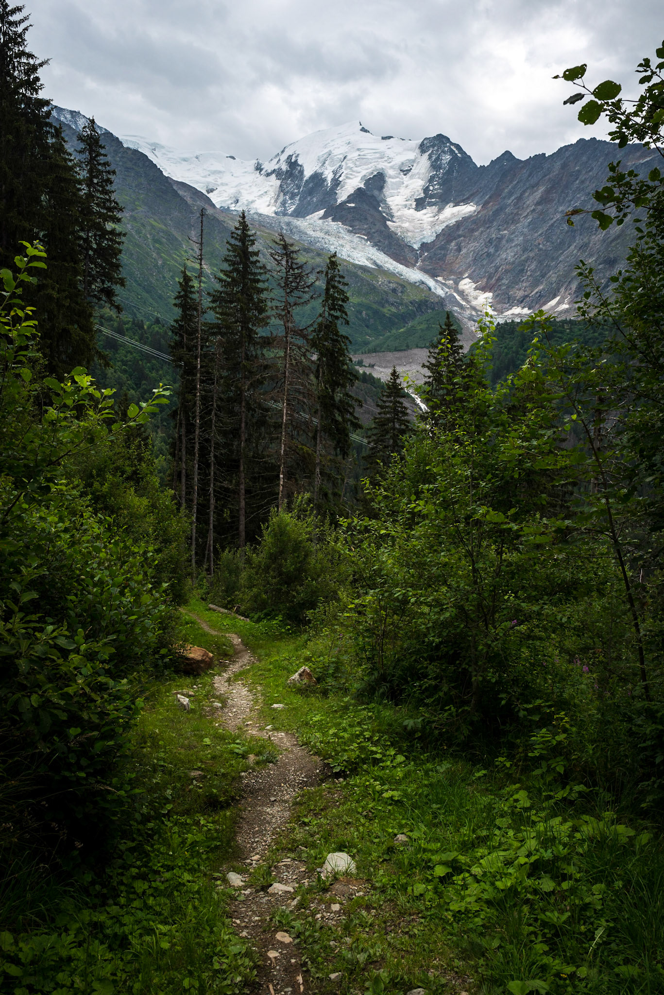 Aiguille de Bionnassay, Alpes