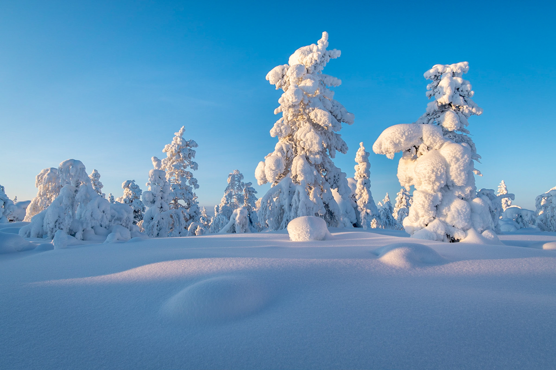 Giants of Kuertunturi, Lapland, Finland