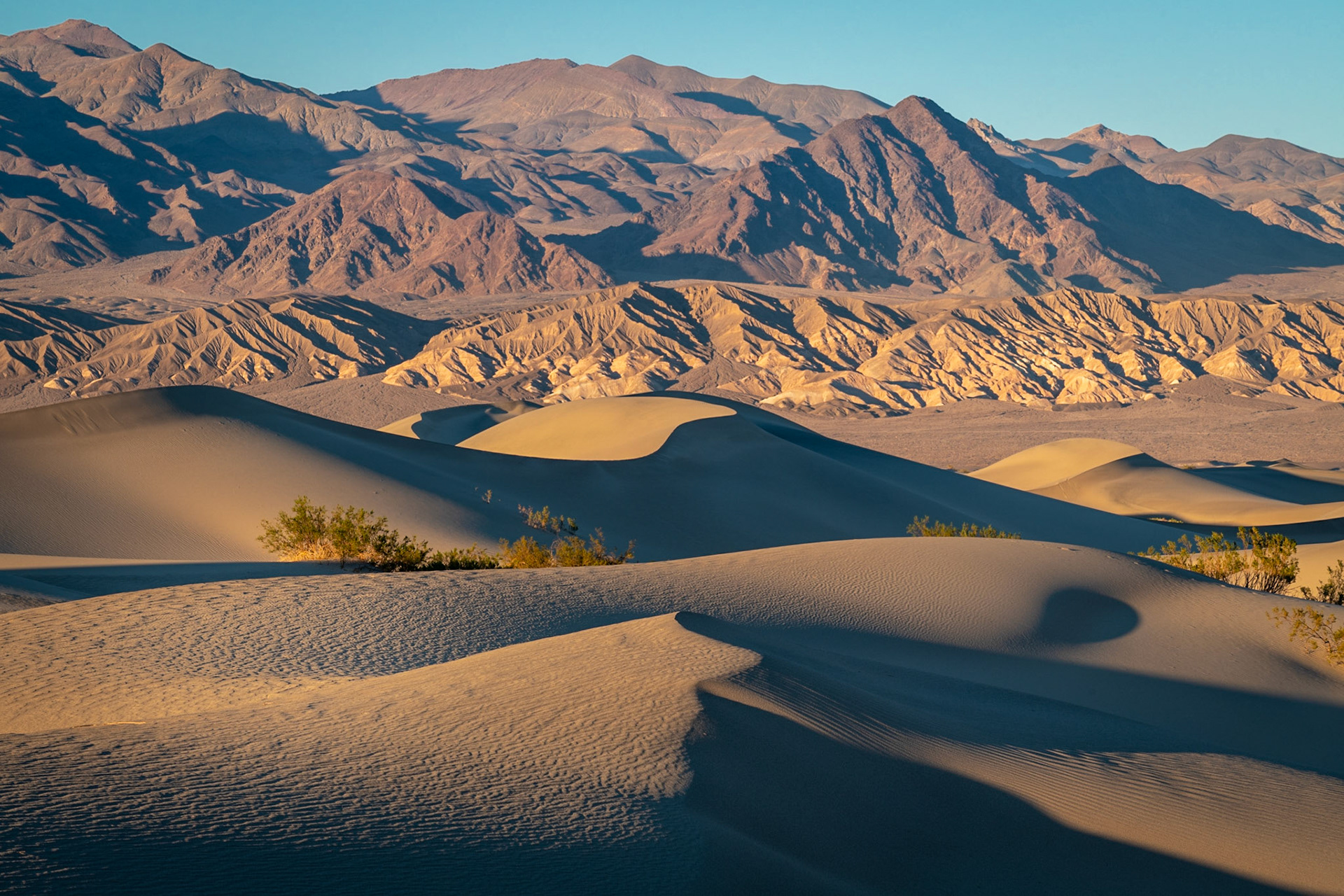 Mesquite Flat Sand Dunes #2, Death Valley NP, California
