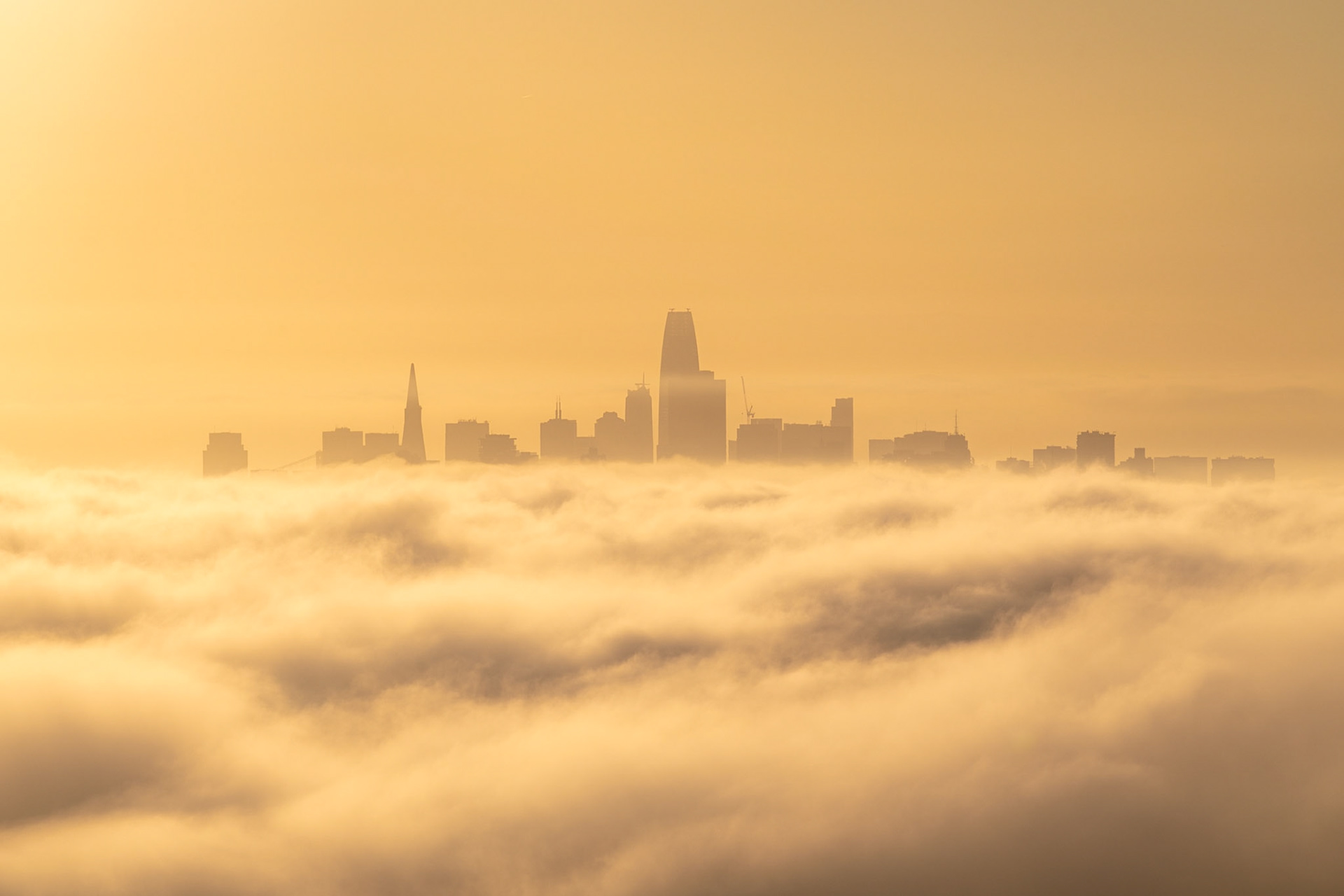 San Francisco skyline in the fog, California