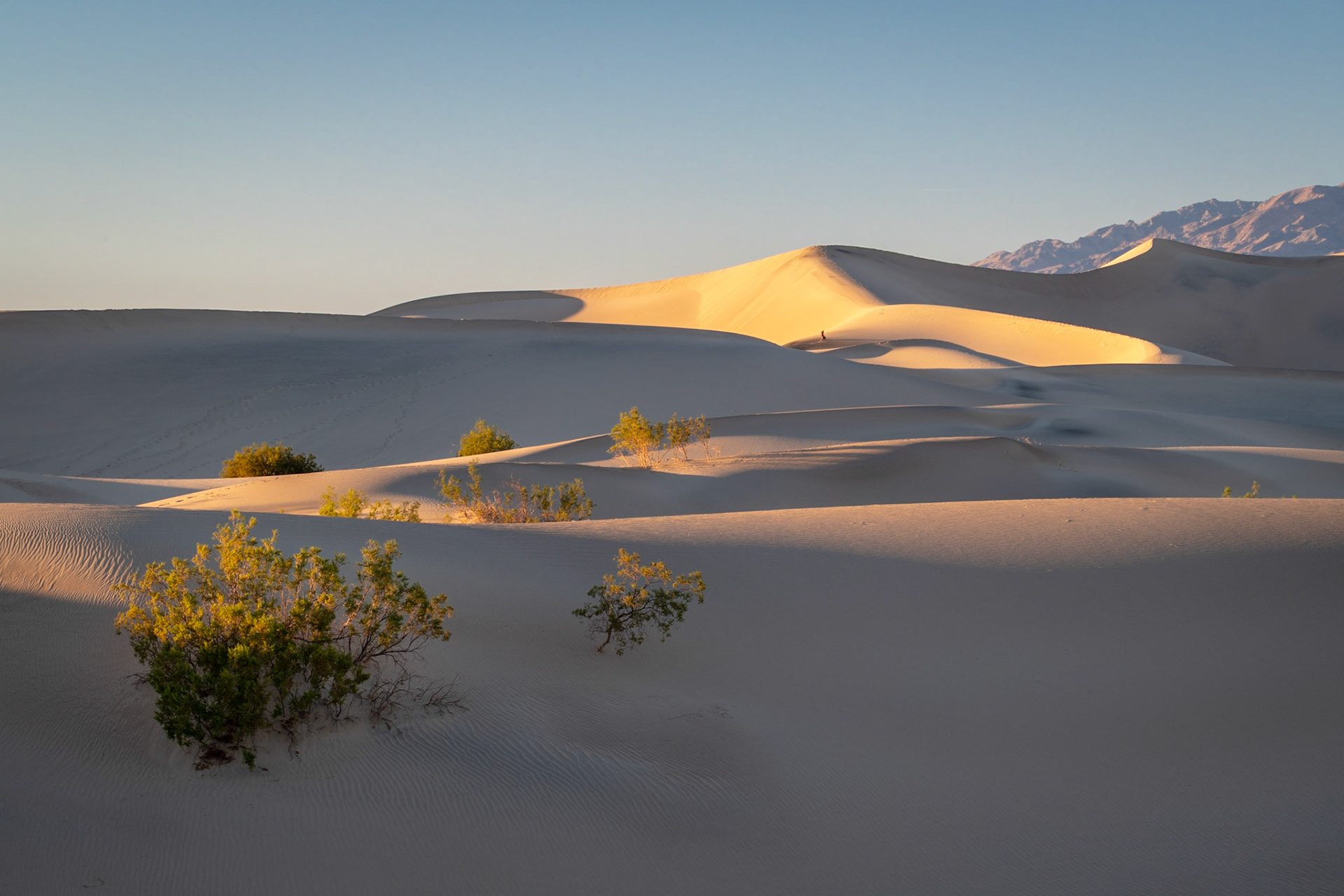 Mesquite Flat Sand Dunes, Death Valley NP, California