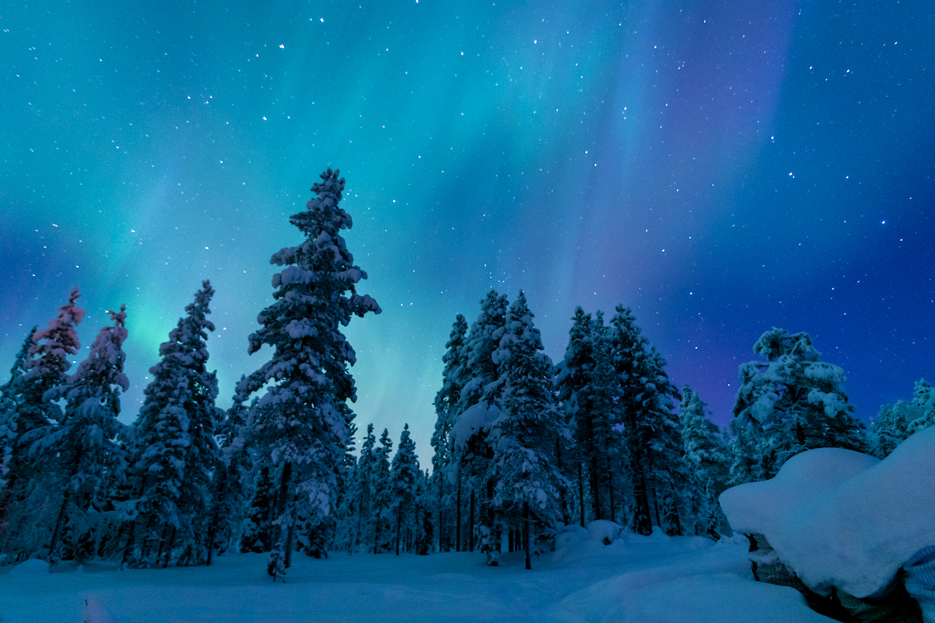 Northern Lights forest, Lapland, Finland