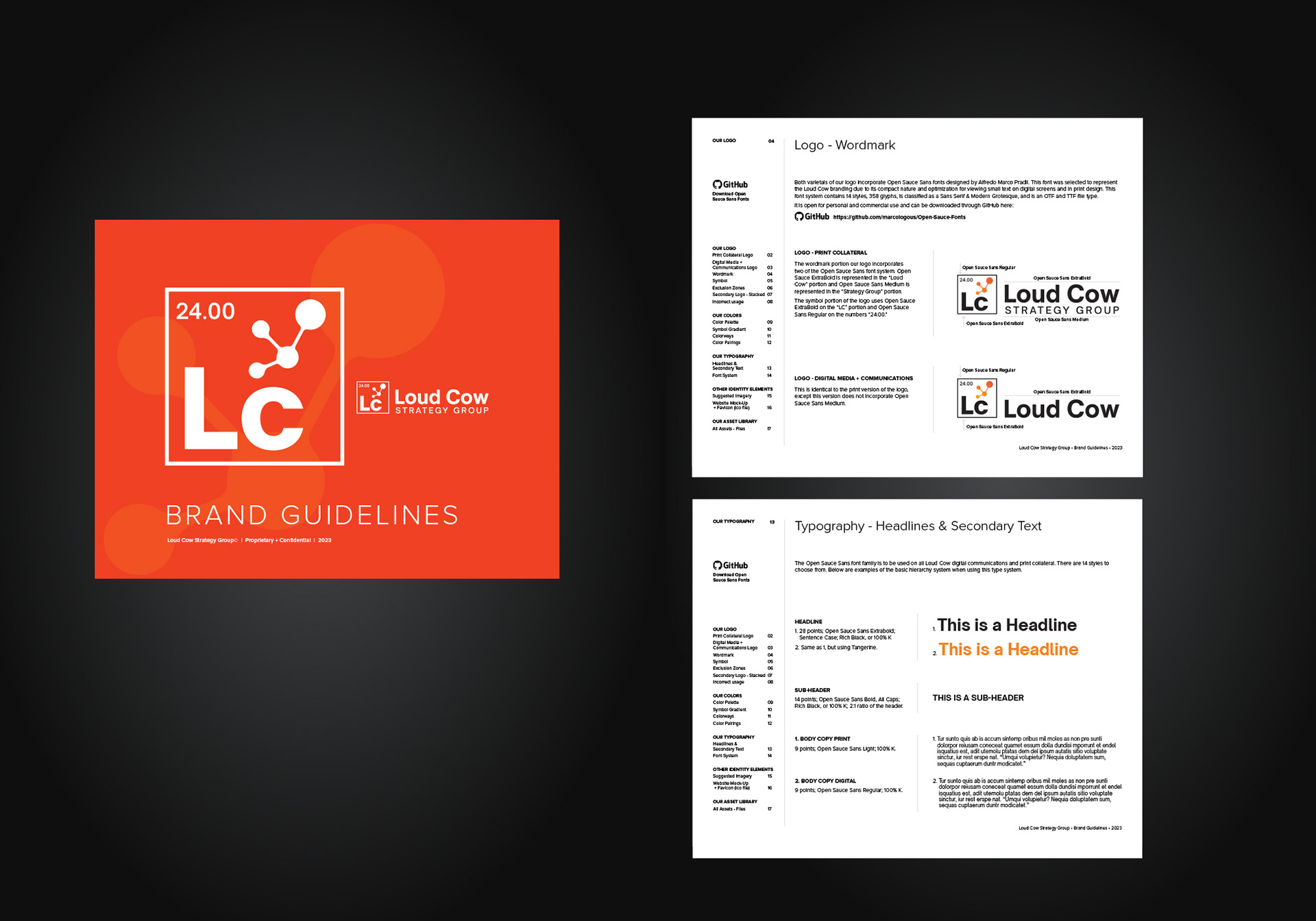 Professional brand guidelines designed by LMI+D for healthcare consulting firm