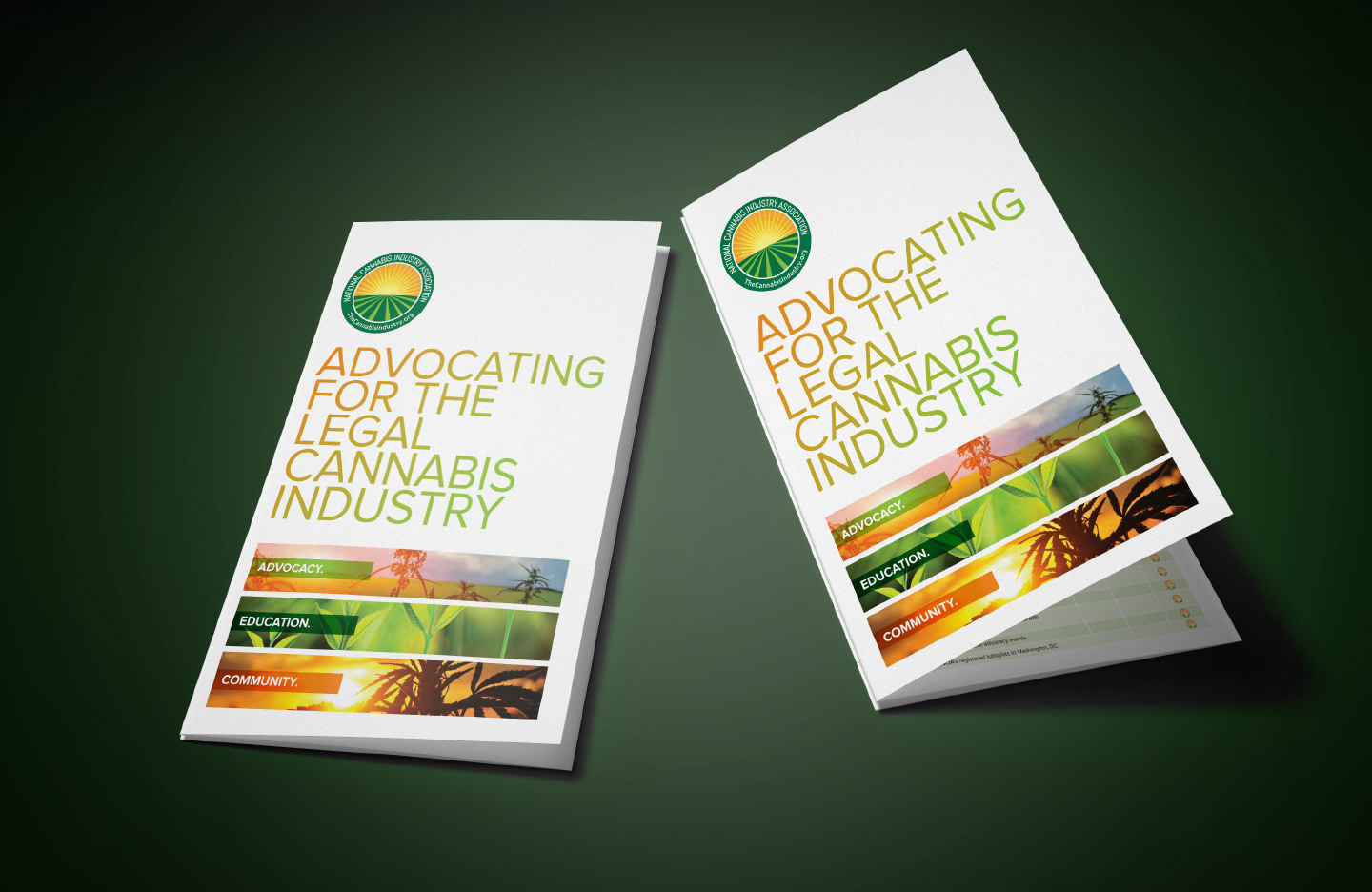 Close-up of brochure design emphasizing hierarchy, clarity, and brand consistency.