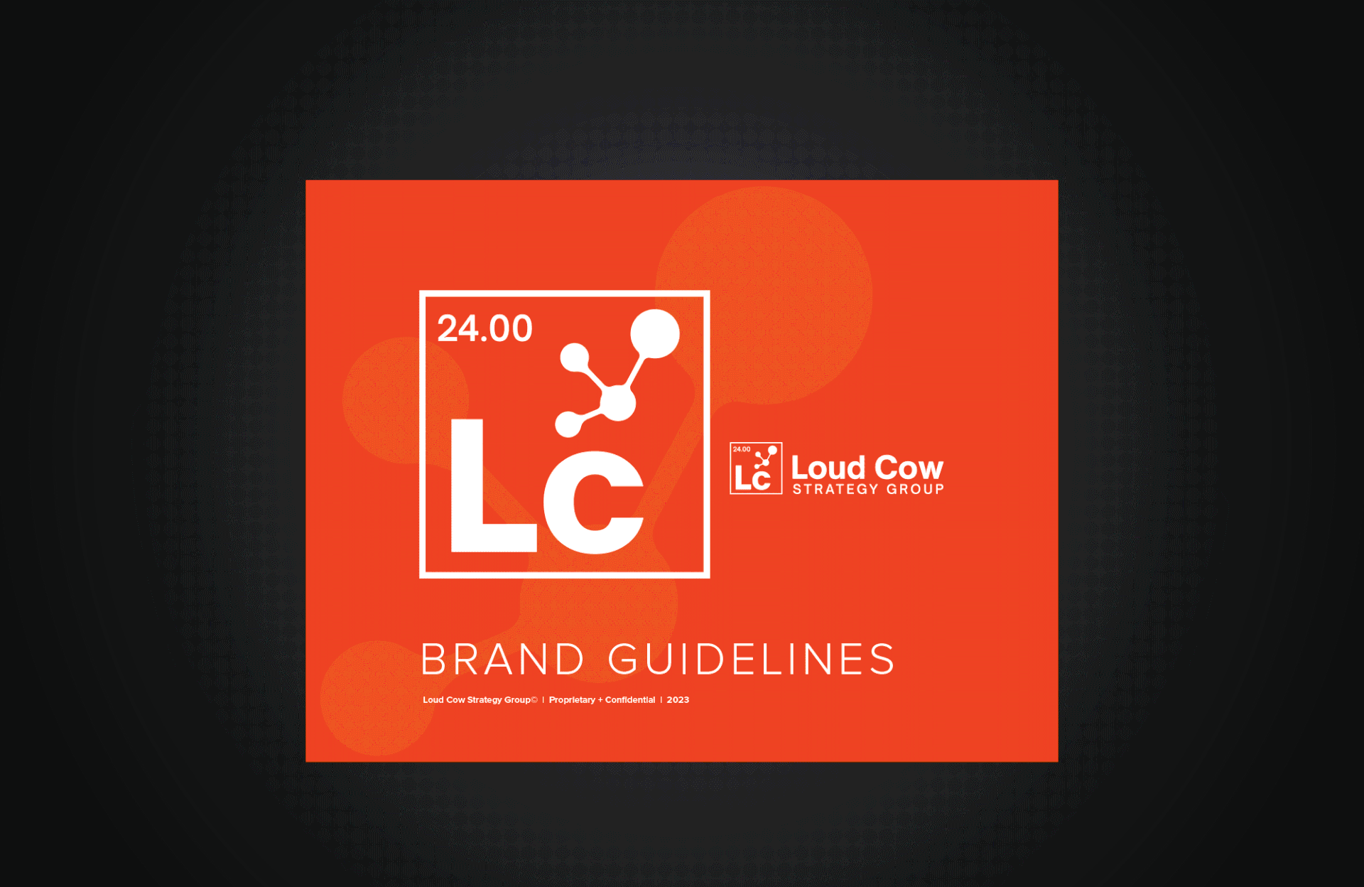 Professional brand guidelines designed by LMI+D for healthcare consulting firm