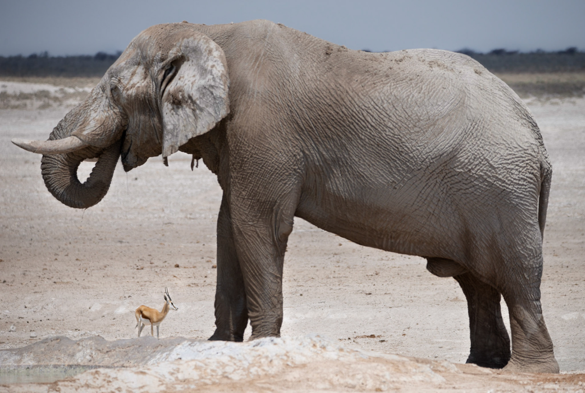 The Giant, the Little, Namibia 2019